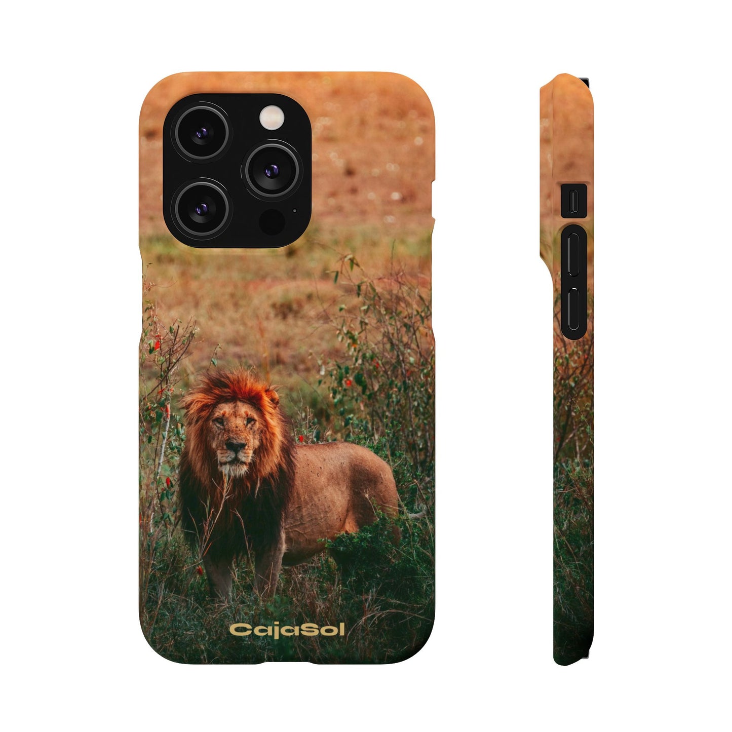 Majestic Lion Cajasol - Nature Inspired