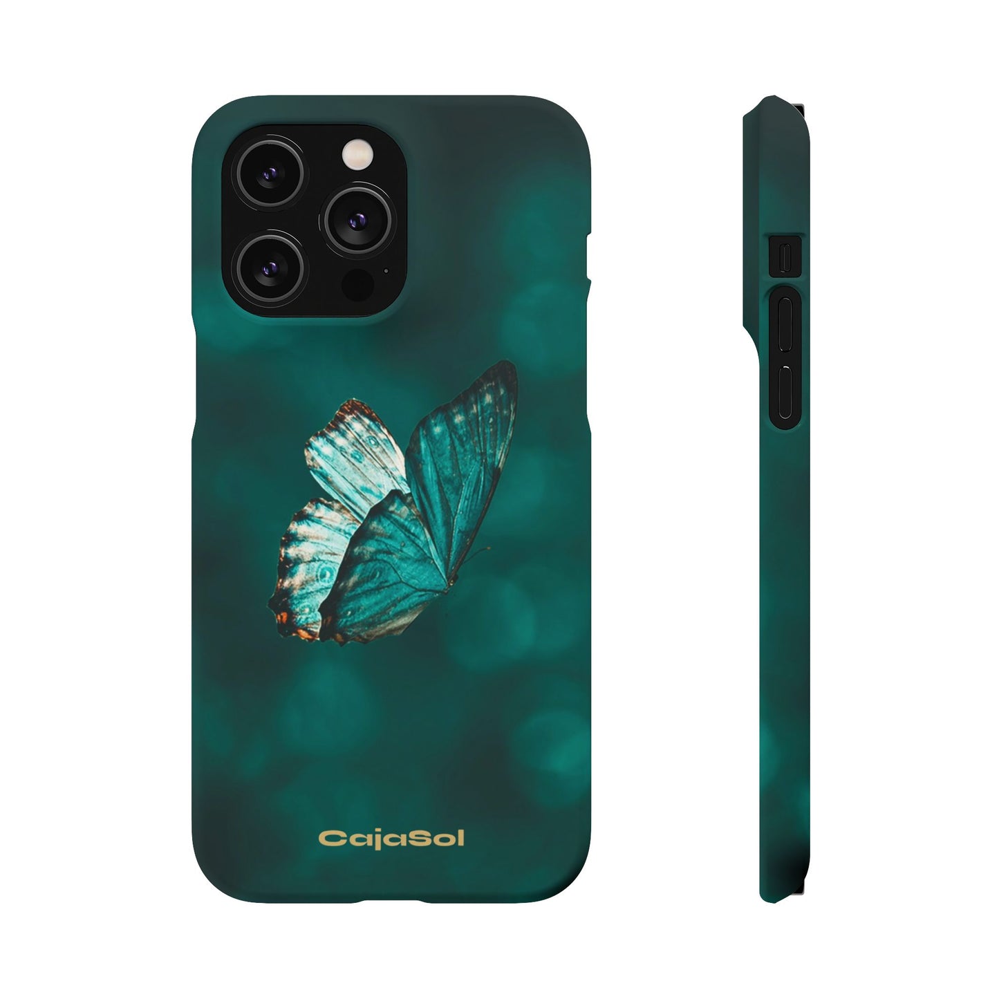 Butterfly Cajasol - Perfect for Nature Lovers