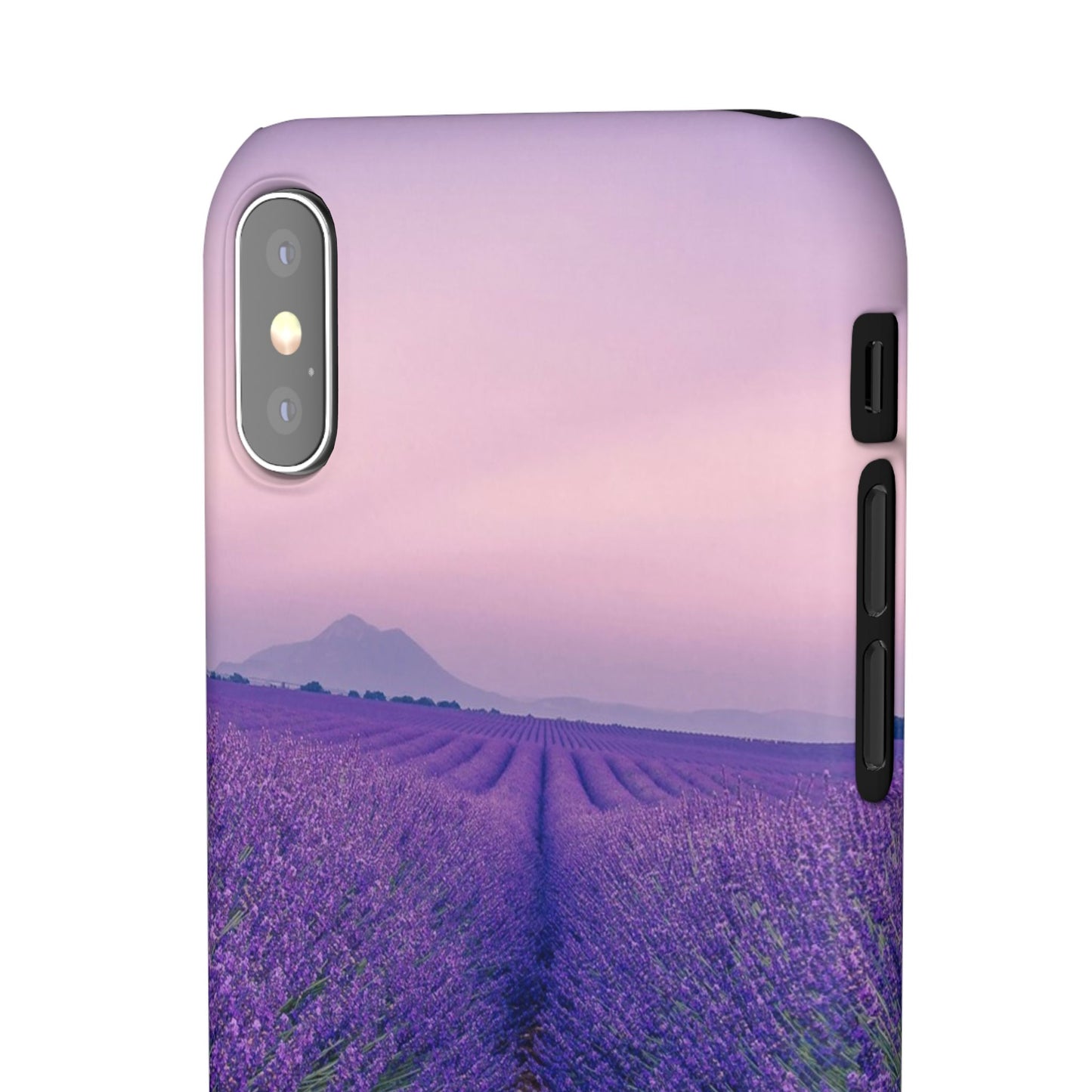Lavender Fields Cajasol - A Floral Touch for Nature Lovers