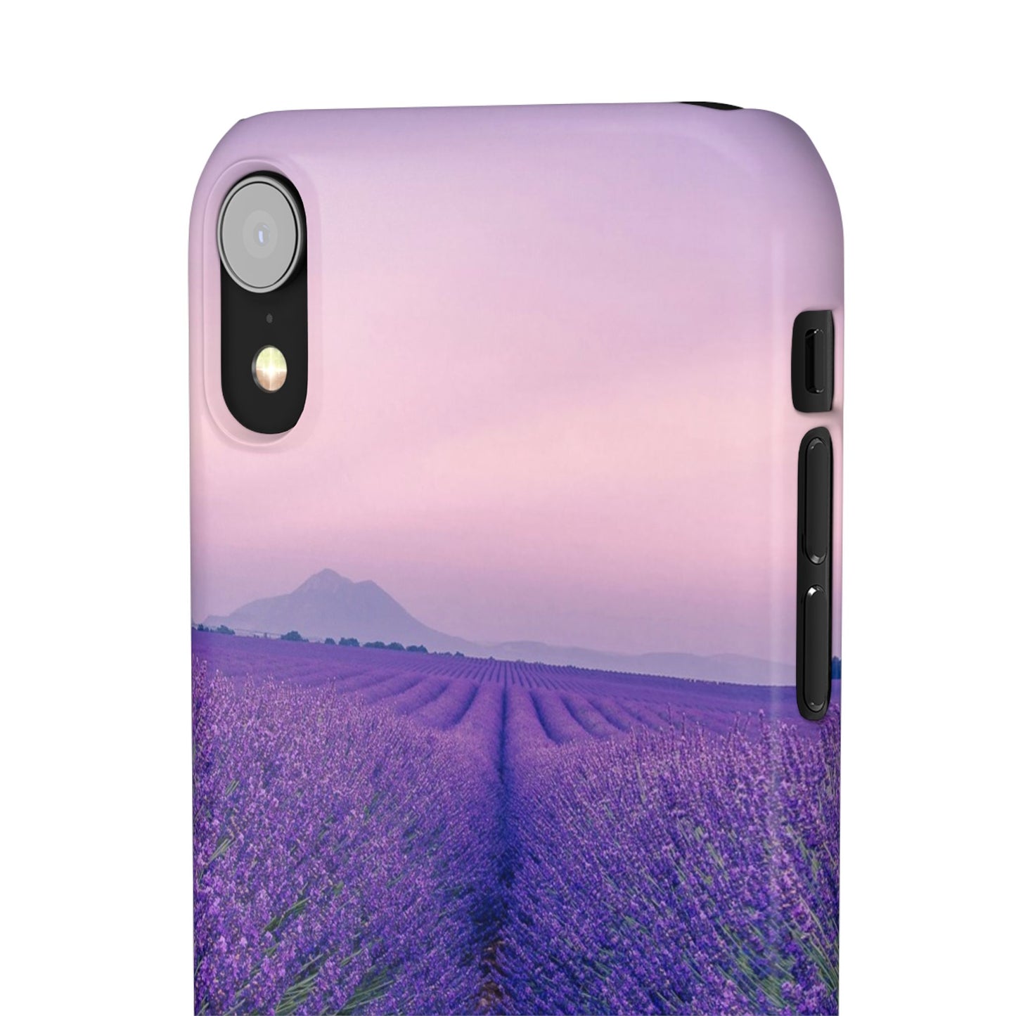 Lavender Fields Cajasol - A Floral Touch for Nature Lovers