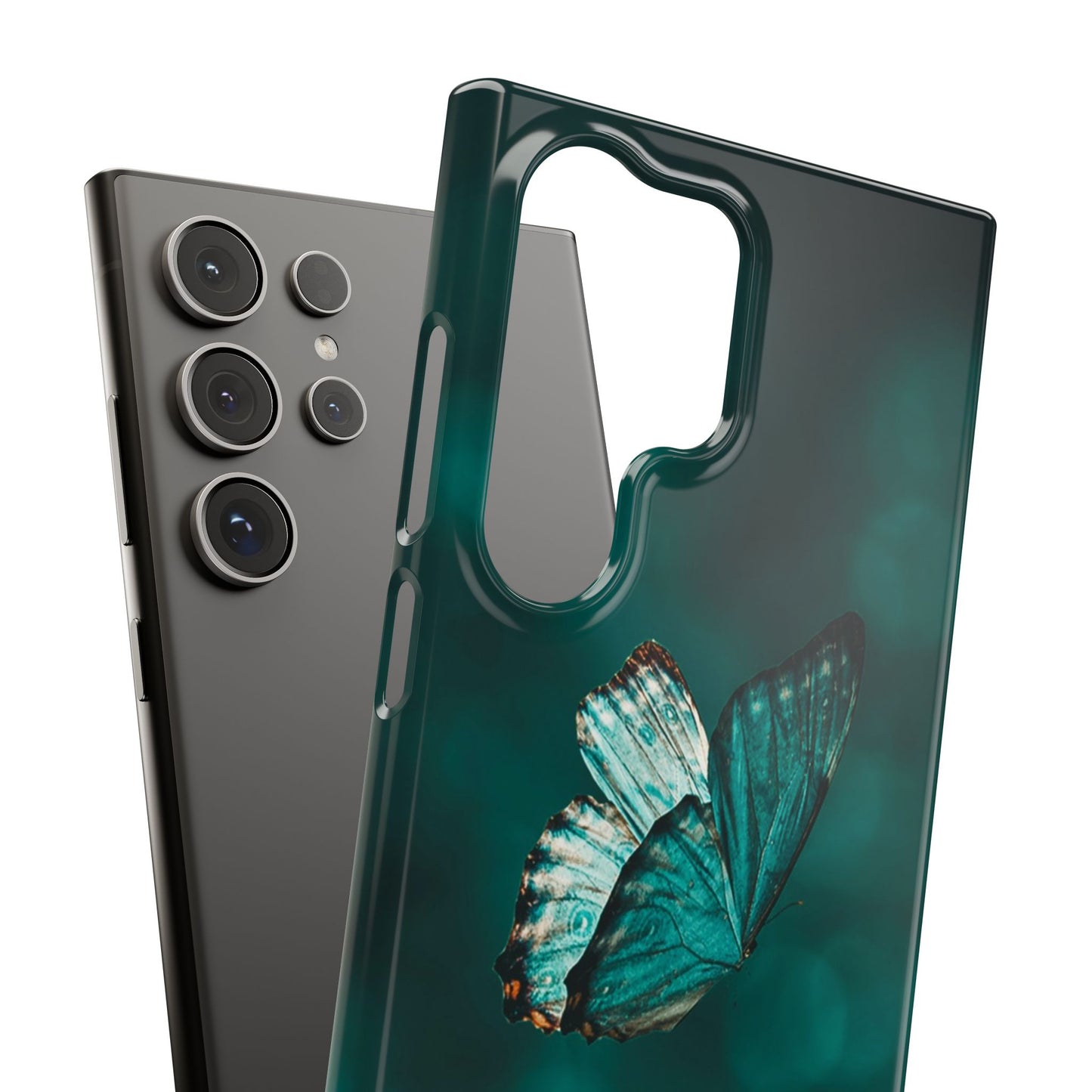 Butterfly Cajasol - Perfect for Nature Lovers
