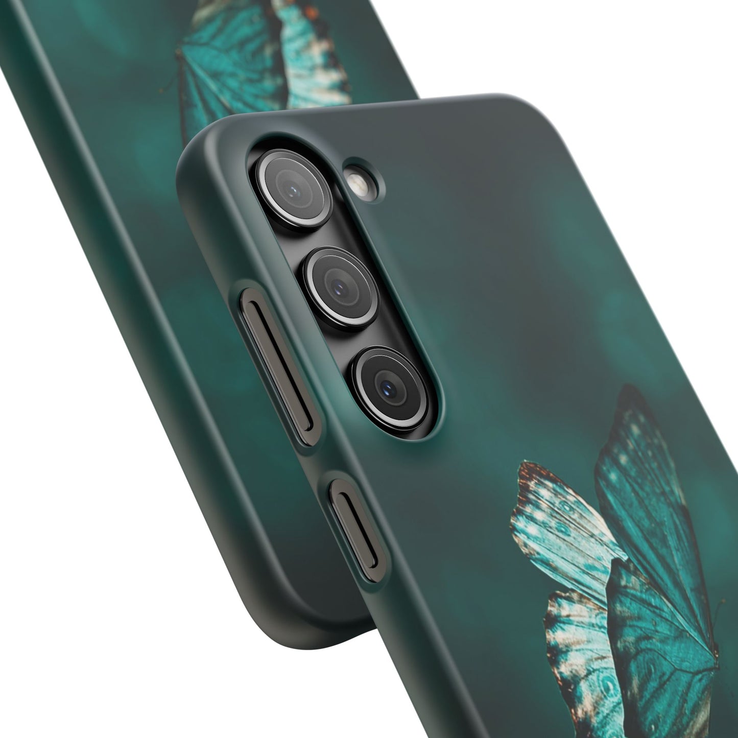 Butterfly Cajasol - Perfect for Nature Lovers