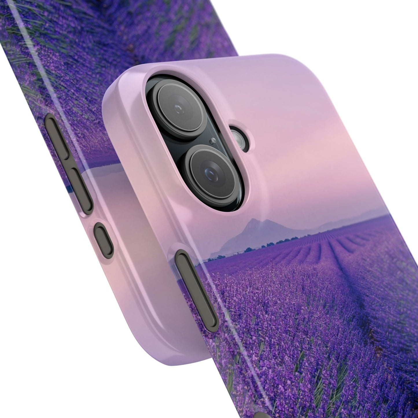 Lavender Fields Cajasol - A Floral Touch for Nature Lovers