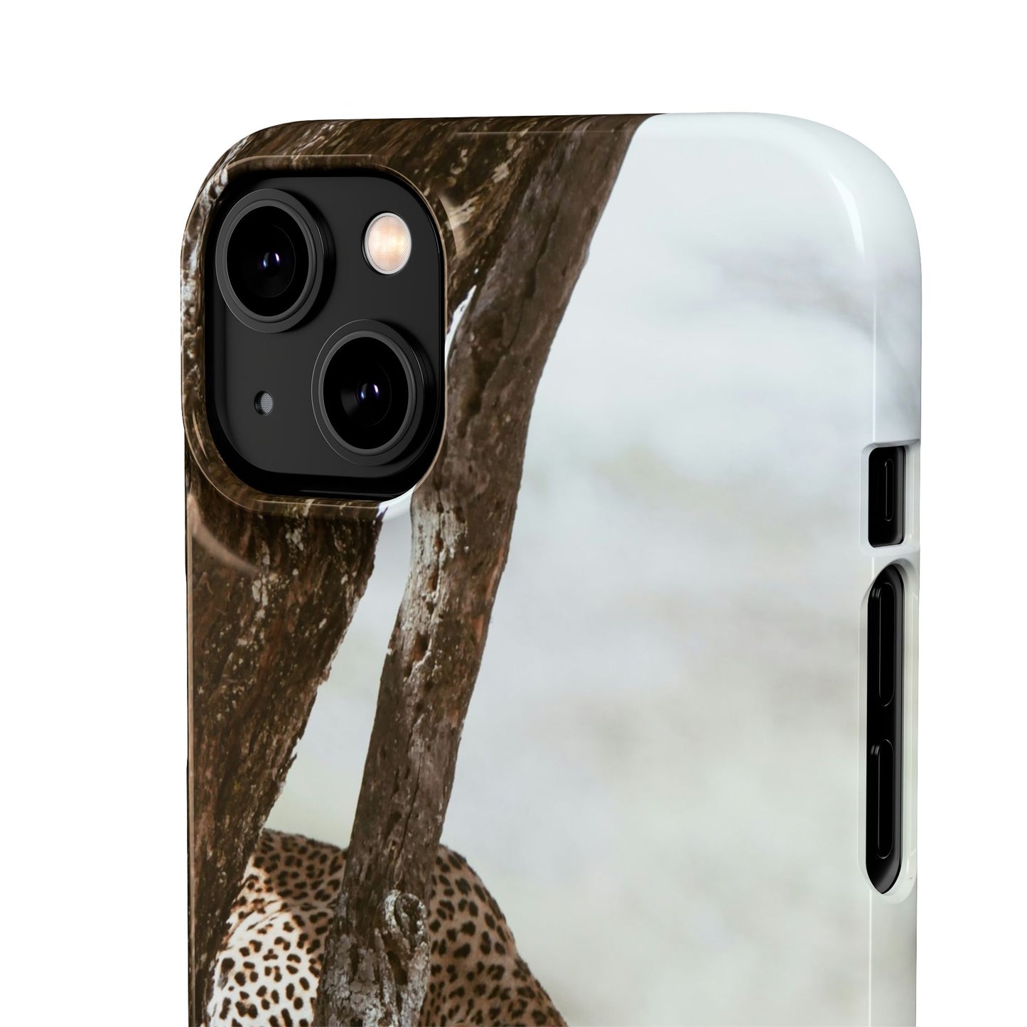Leopard Cajasol - Wildlife Vibes