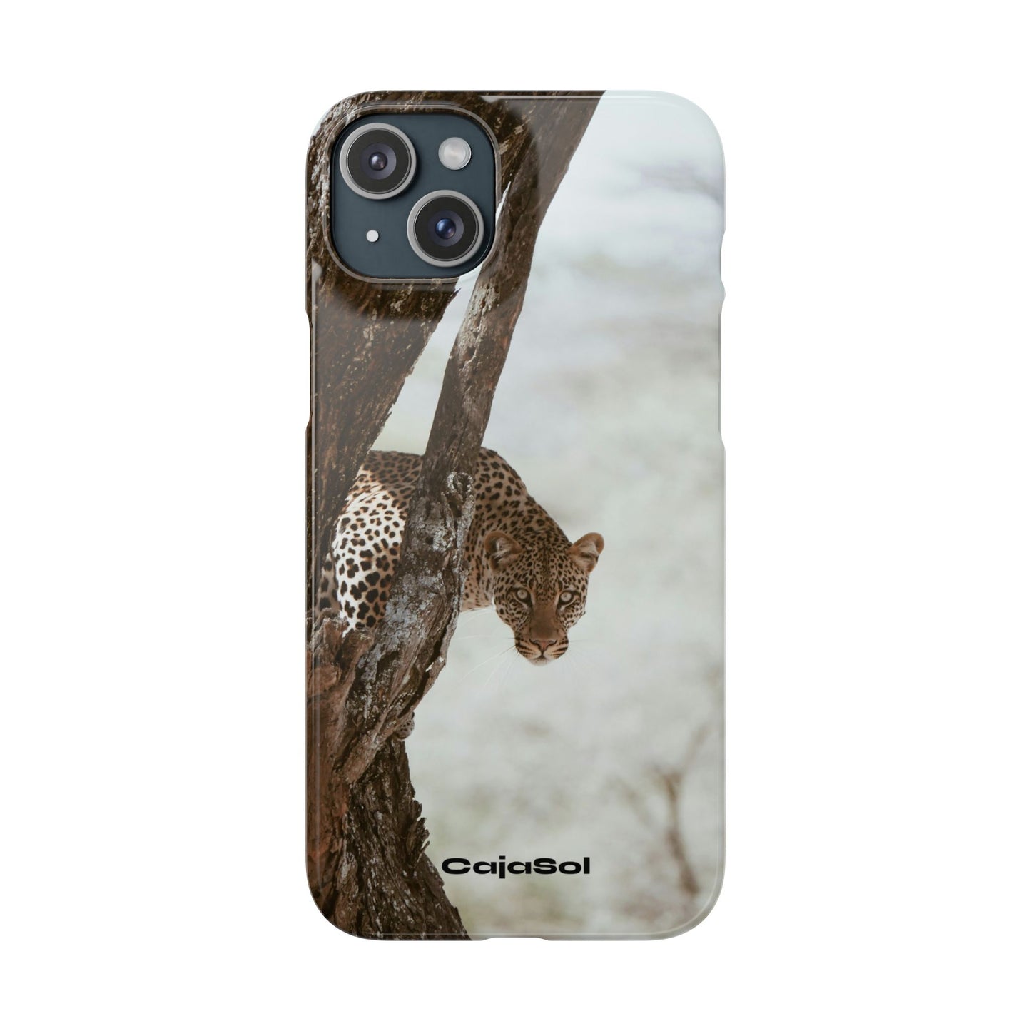 Leopard Cajasol - Wildlife Vibes