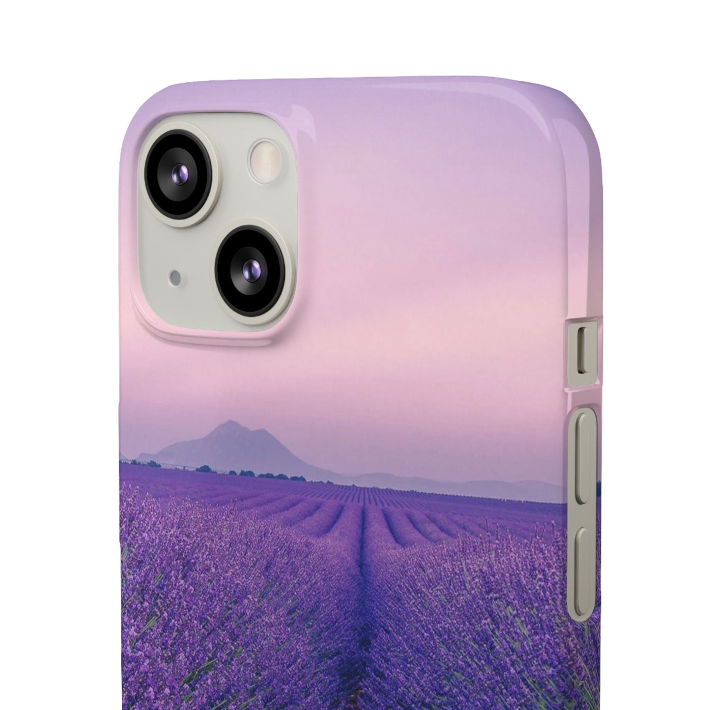 Lavender Fields Cajasol - A Floral Touch for Nature Lovers