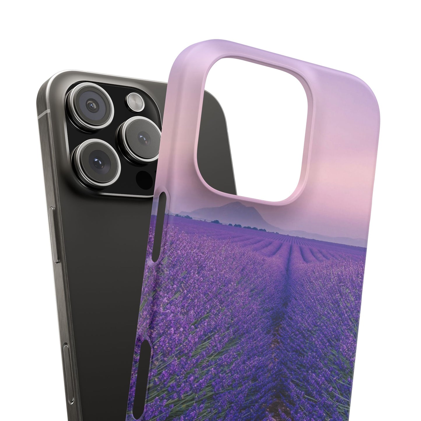 Lavender Fields Cajasol - A Floral Touch for Nature Lovers
