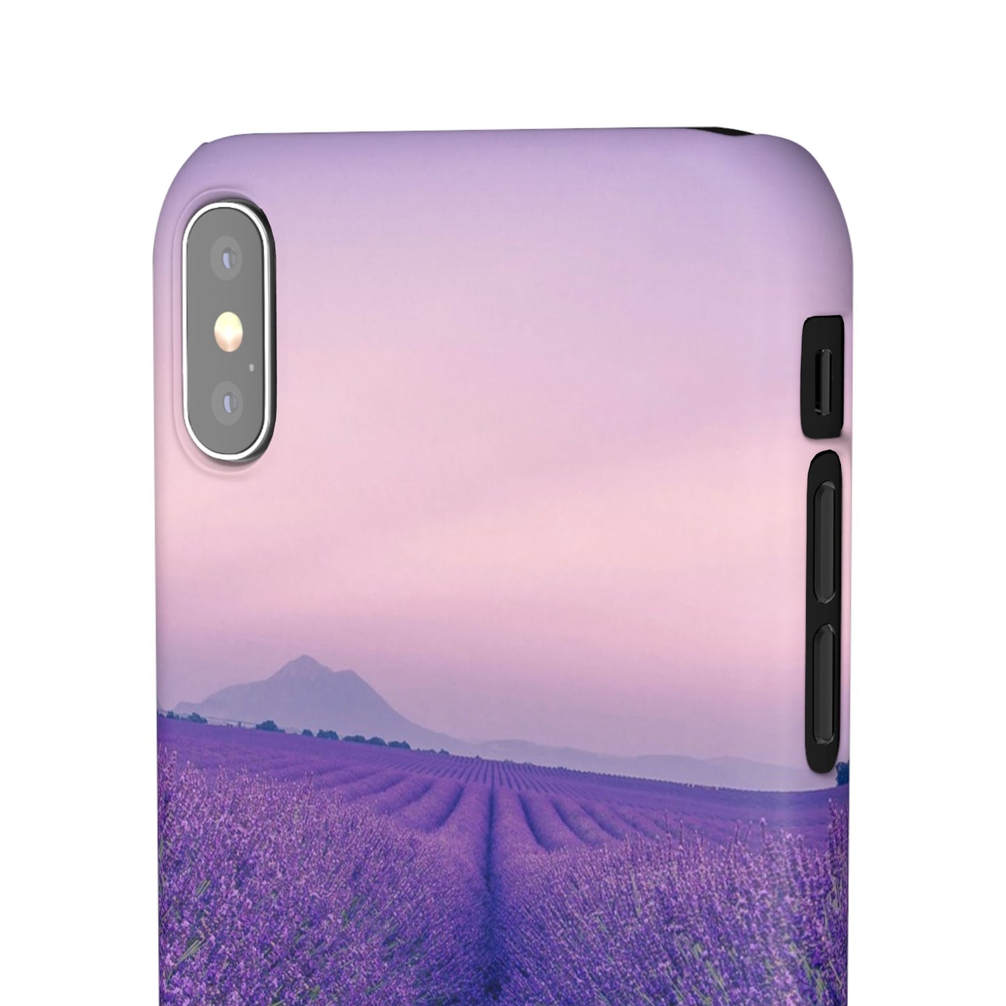 Lavender Fields Cajasol - A Floral Touch for Nature Lovers
