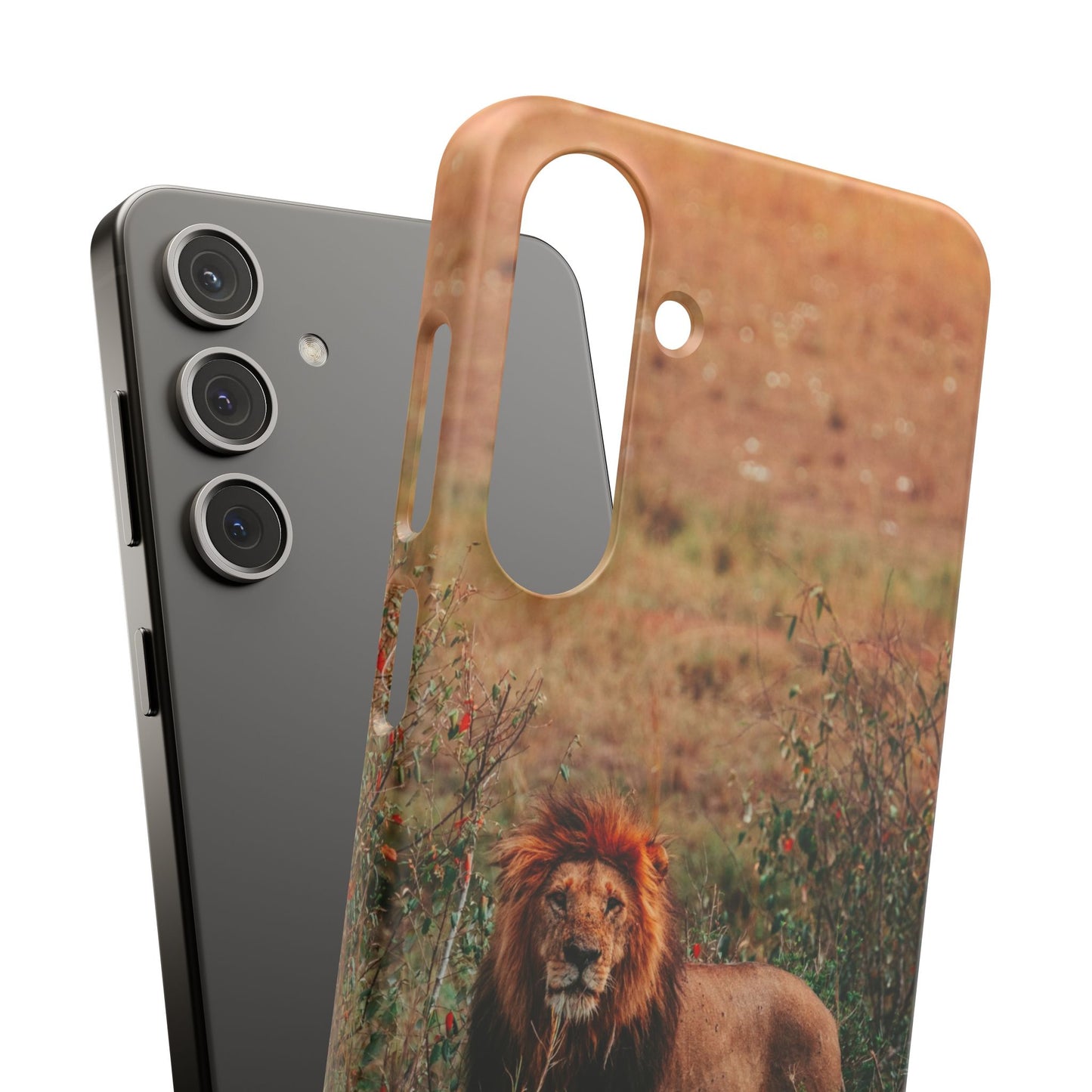 Majestic Lion Cajasol - Nature Inspired