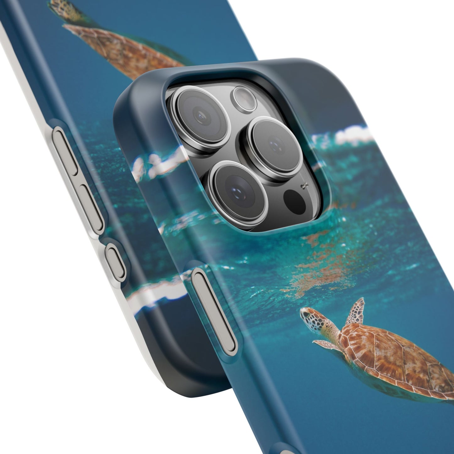 Sea Turtle Cajasol - Perfect for Beach Lovers