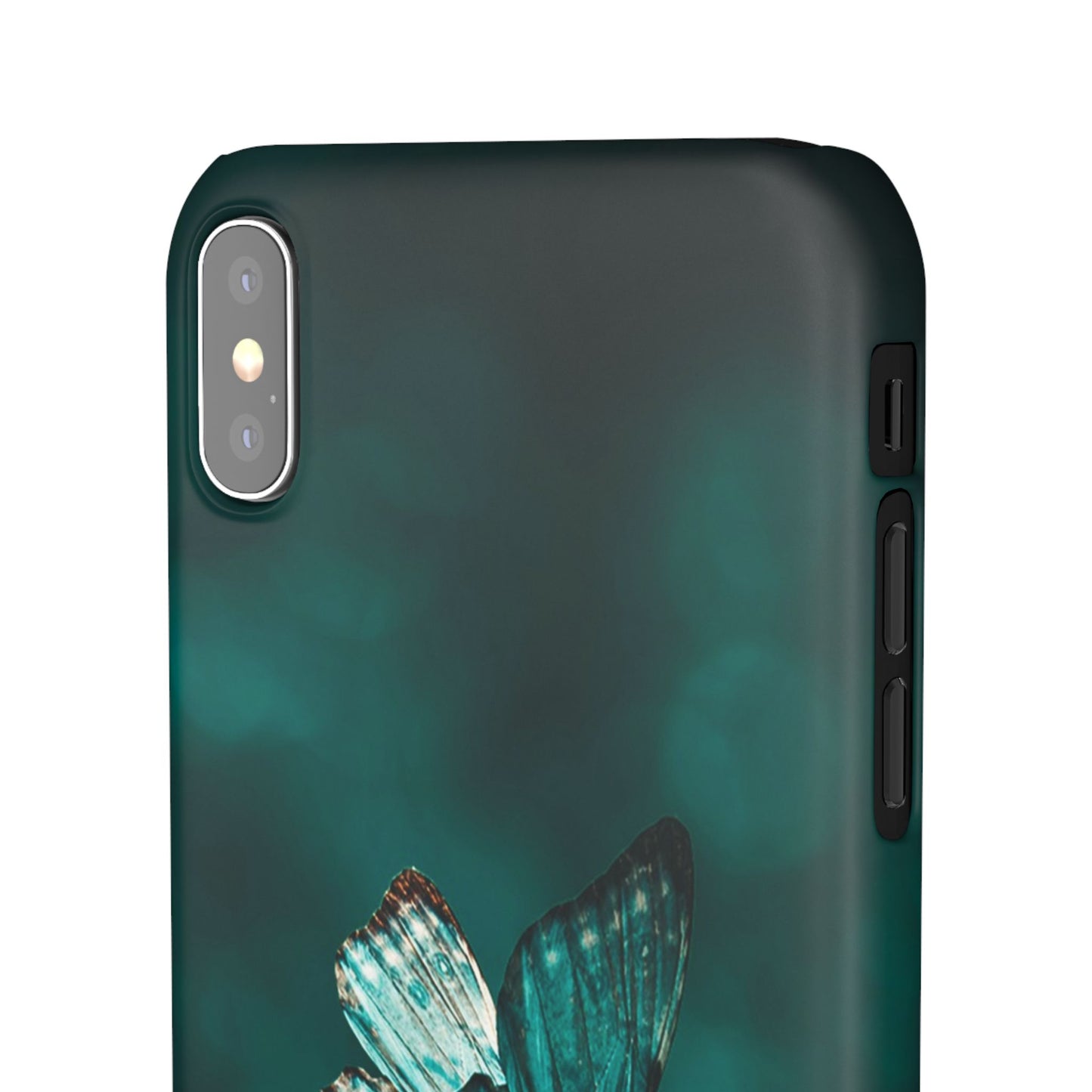 Butterfly Cajasol - Perfect for Nature Lovers