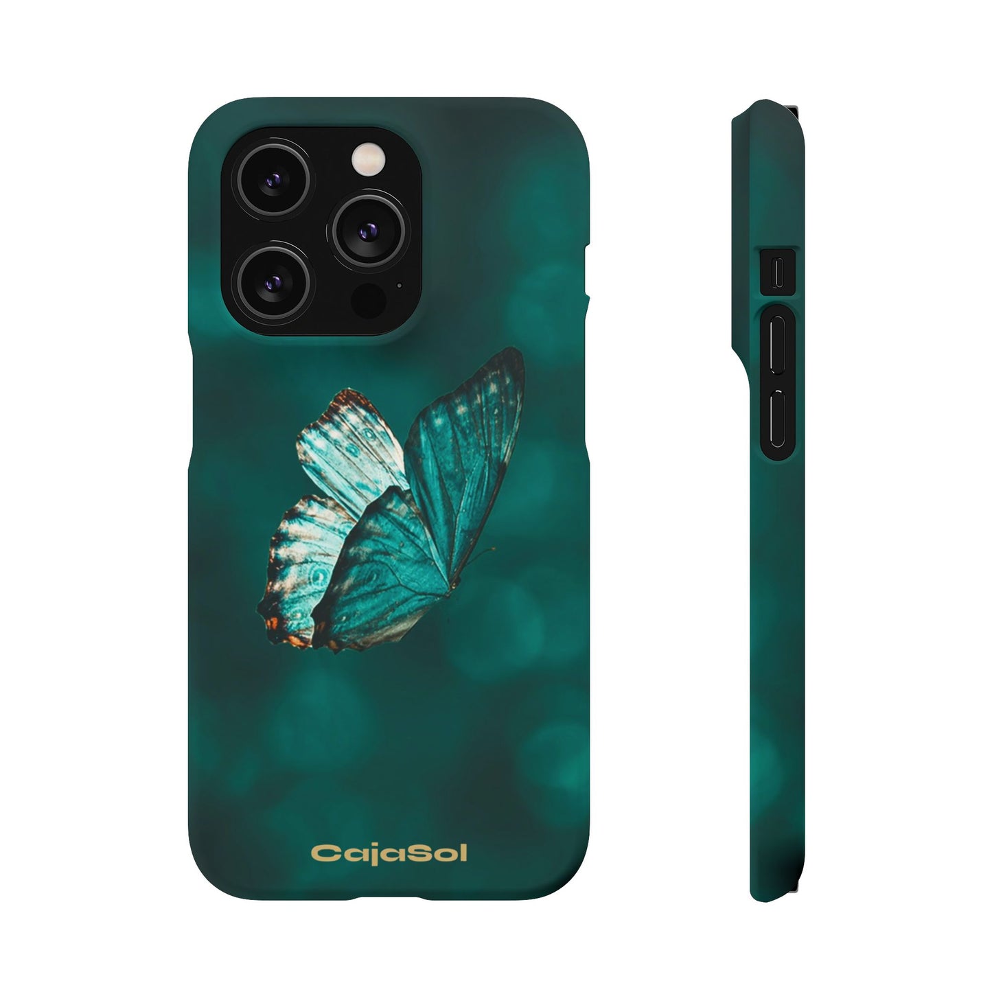Butterfly Cajasol - Perfect for Nature Lovers