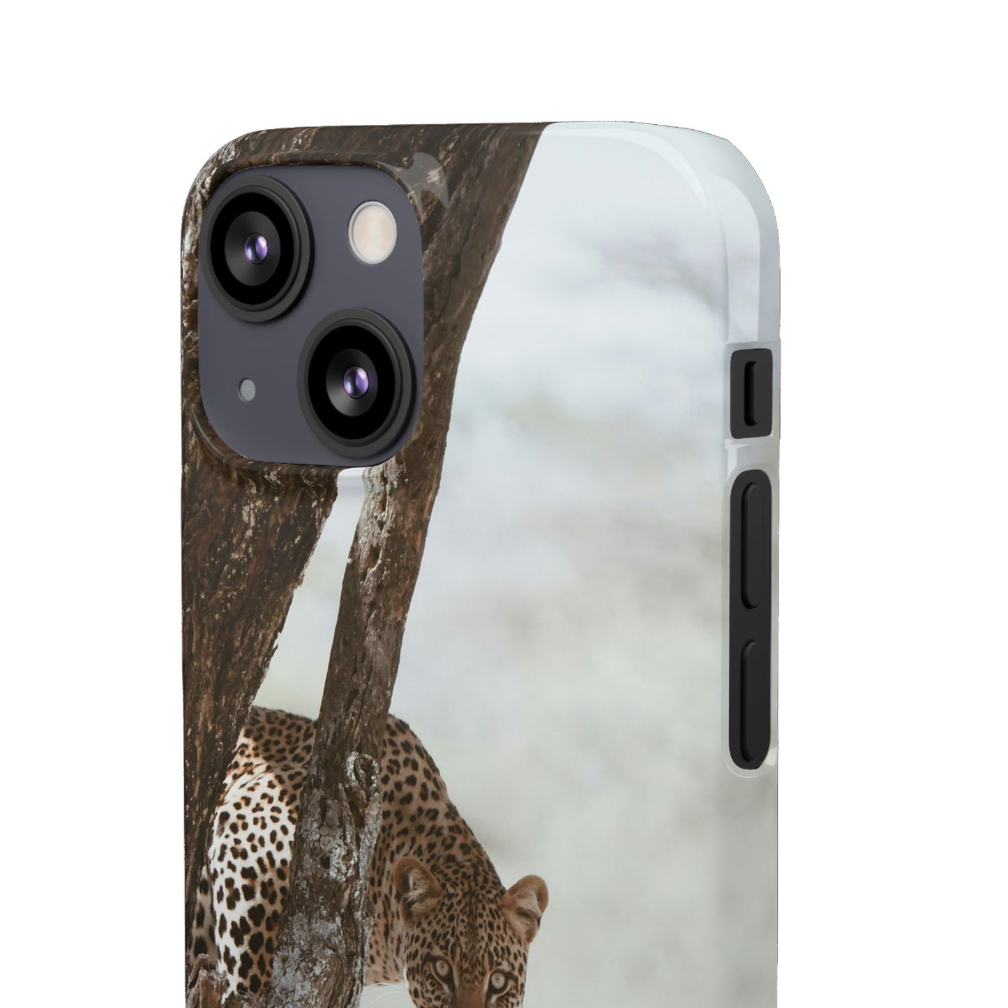 Leopard Cajasol - Wildlife Vibes