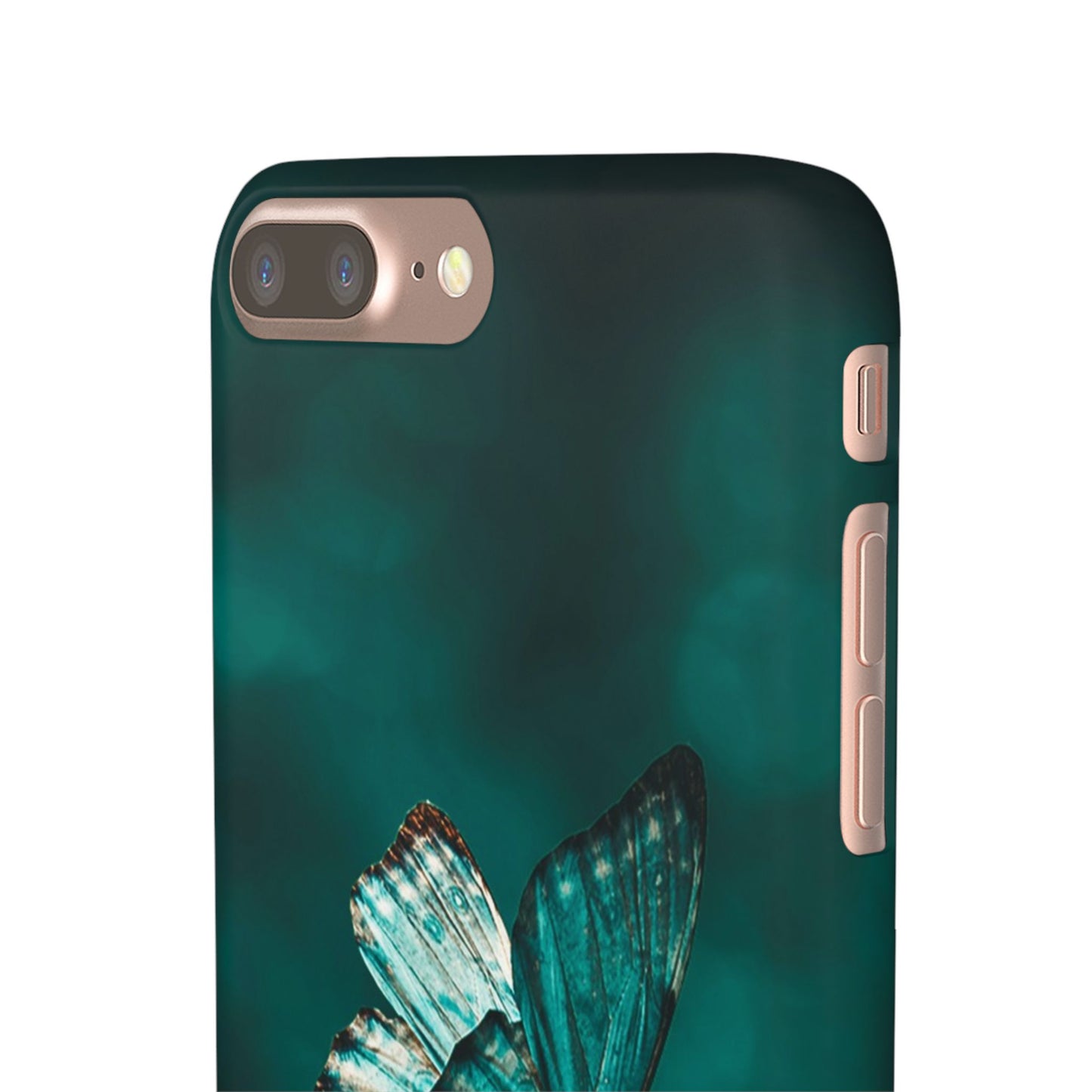 Butterfly Cajasol - Perfect for Nature Lovers