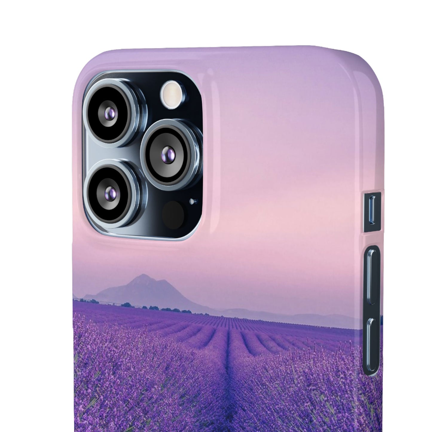Lavender Fields Cajasol - A Floral Touch for Nature Lovers