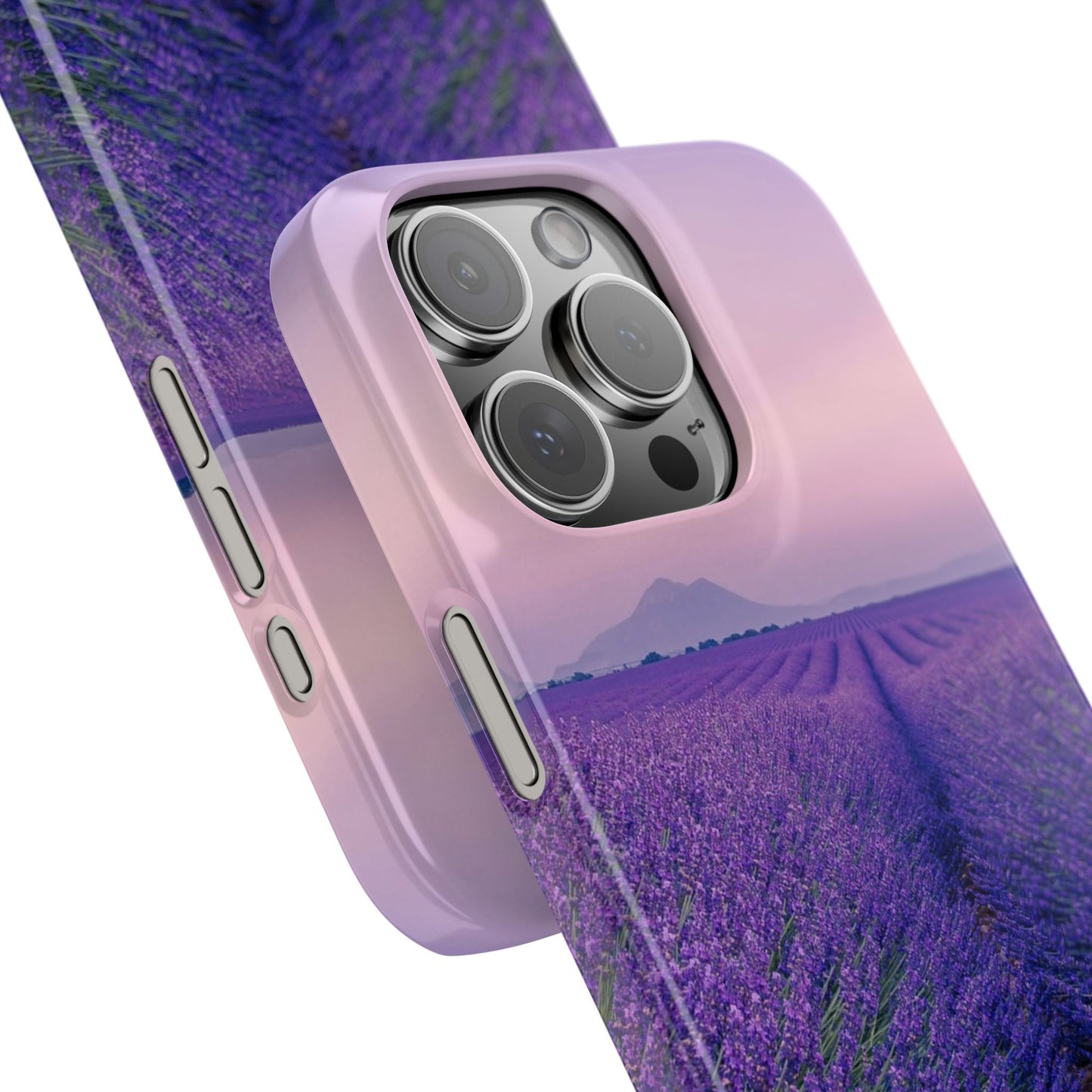 Lavender Fields Cajasol - A Floral Touch for Nature Lovers