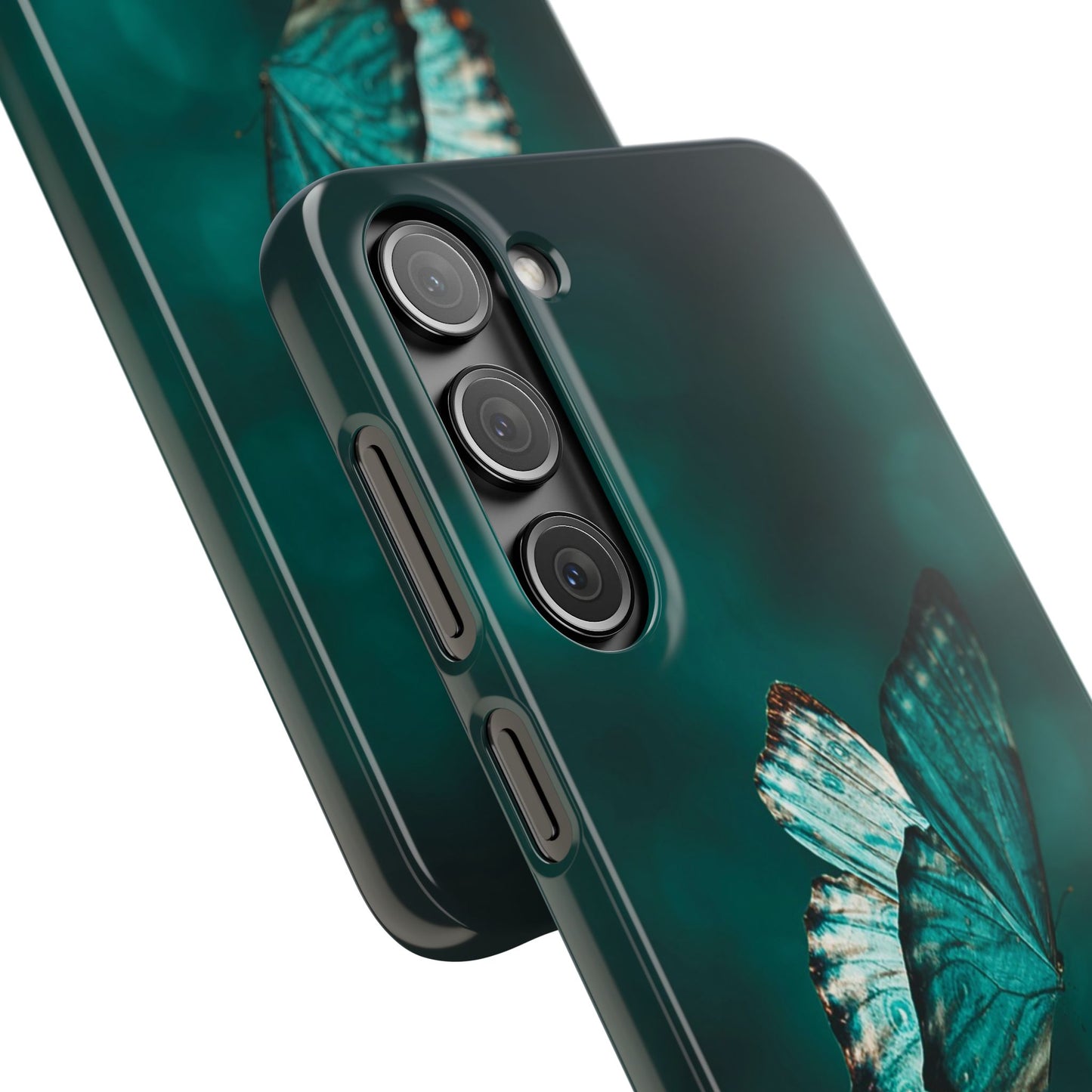 Butterfly Cajasol - Perfect for Nature Lovers