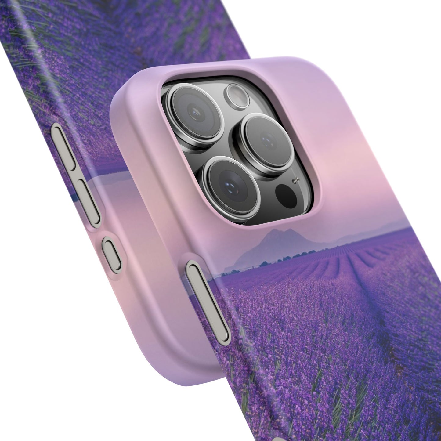 Lavender Fields Cajasol - A Floral Touch for Nature Lovers