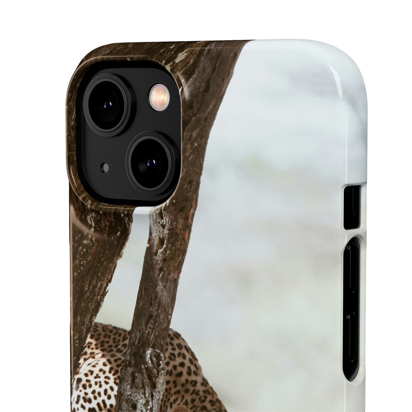 Leopard Cajasol - Wildlife Vibes