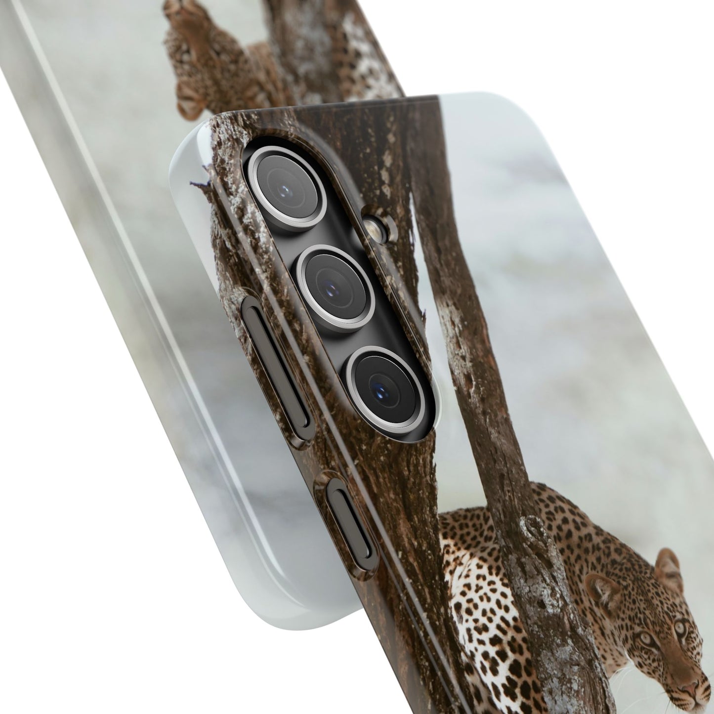 Leopard Cajasol - Wildlife Vibes