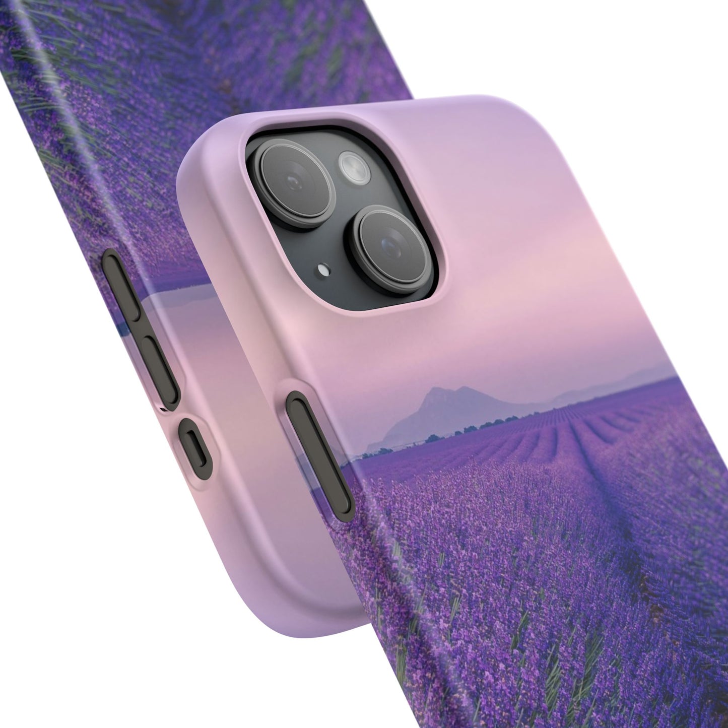 Lavender Fields Cajasol - A Floral Touch for Nature Lovers
