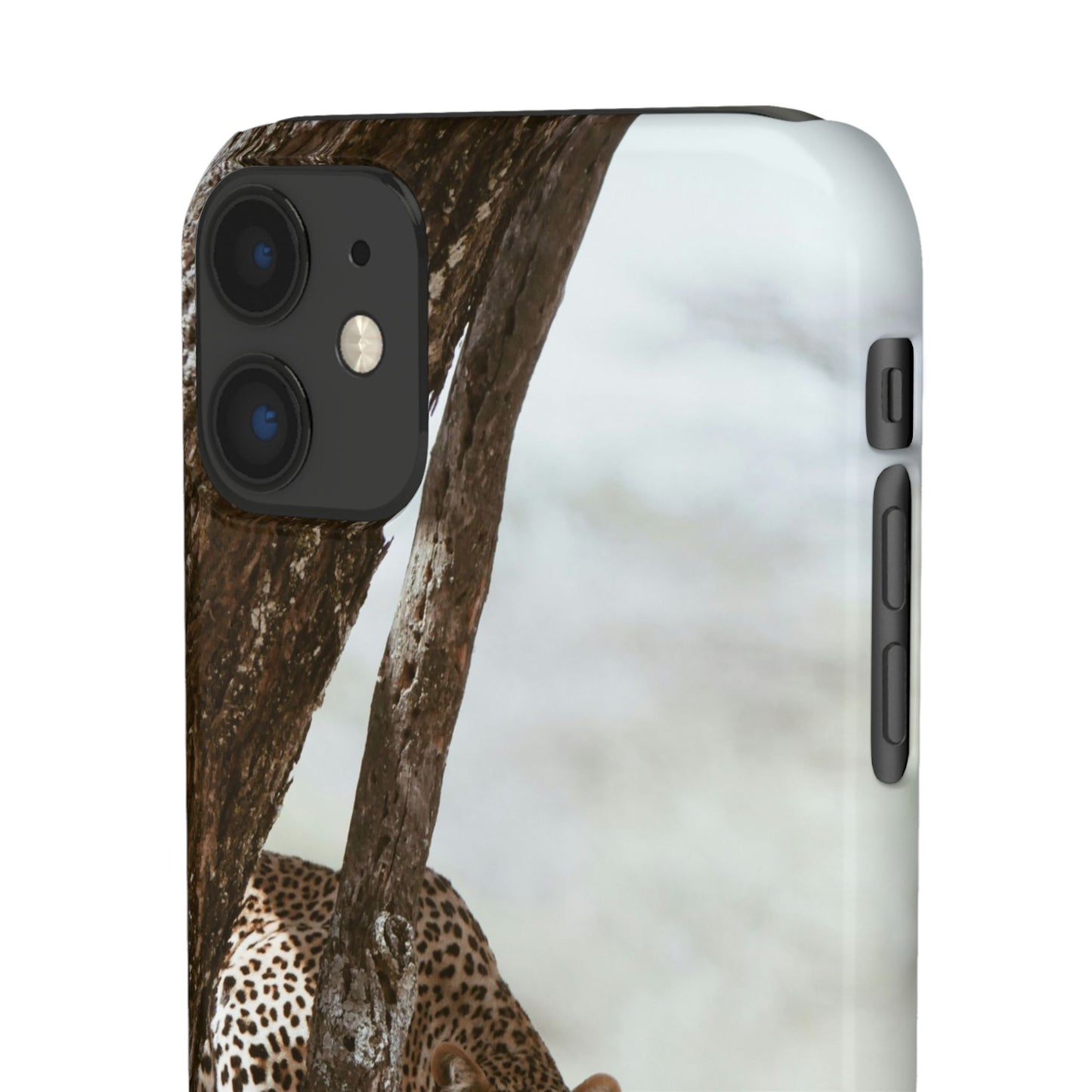 Leopard Cajasol - Wildlife Vibes