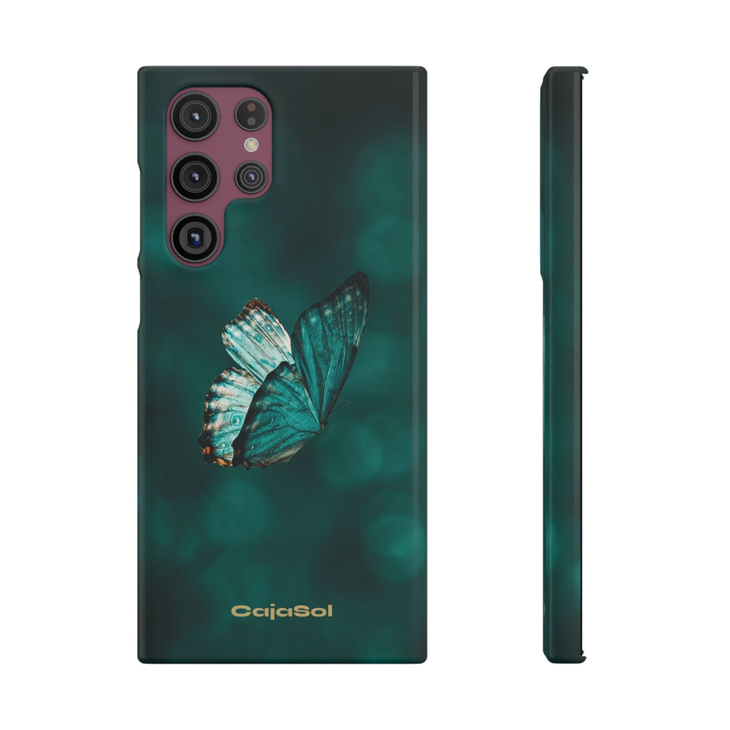 Butterfly Cajasol - Perfect for Nature Lovers