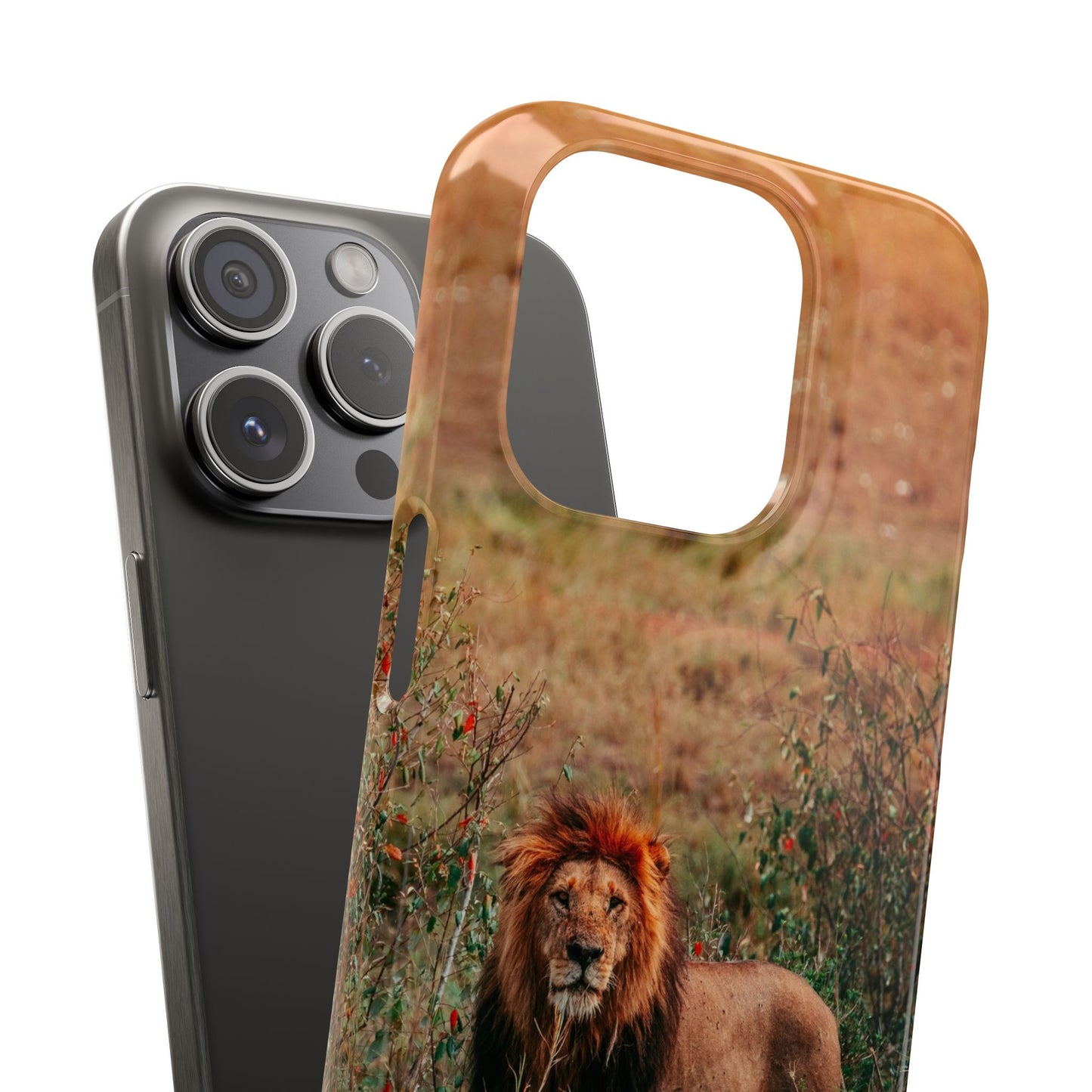 Majestic Lion Cajasol - Nature Inspired