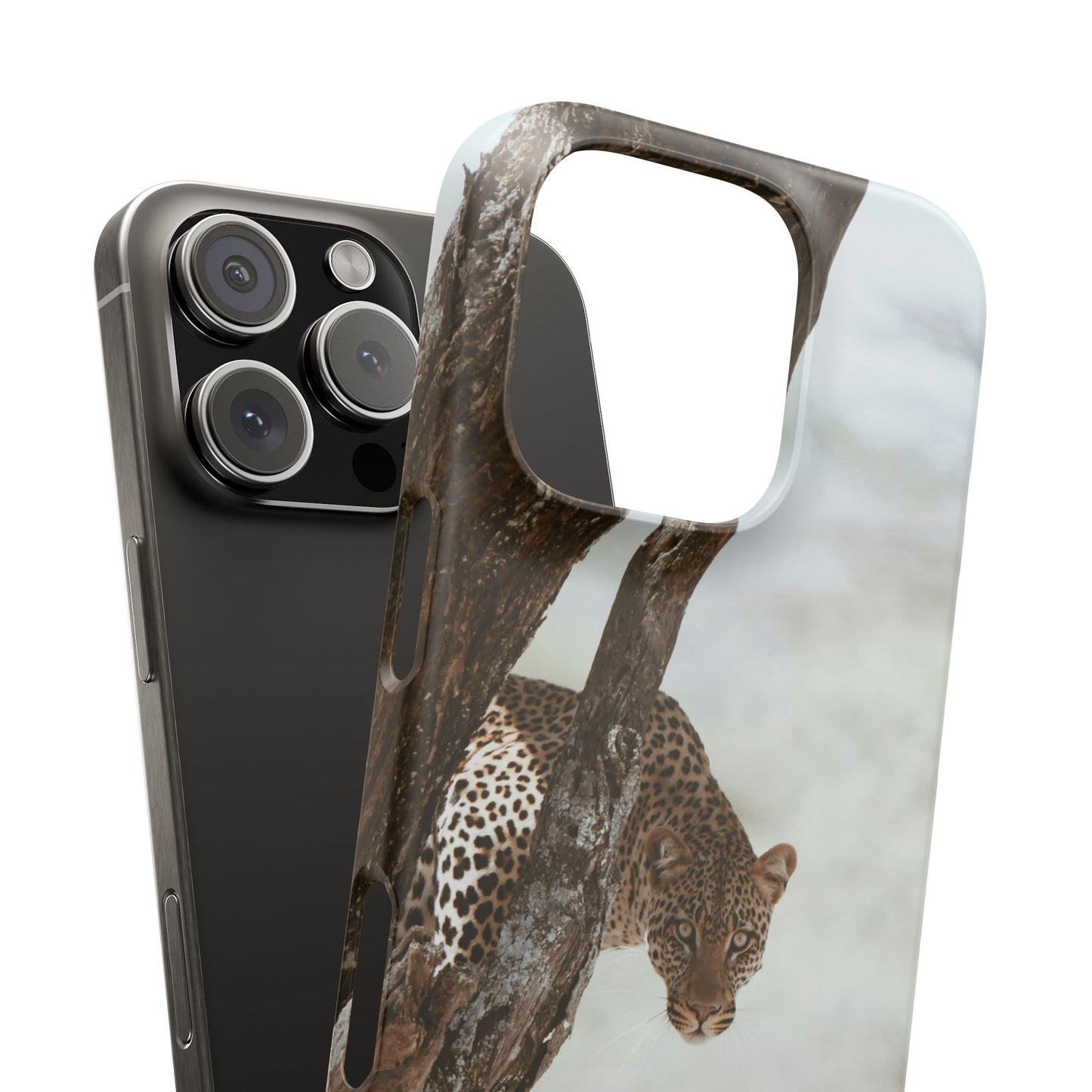 Leopard Cajasol - Wildlife Vibes