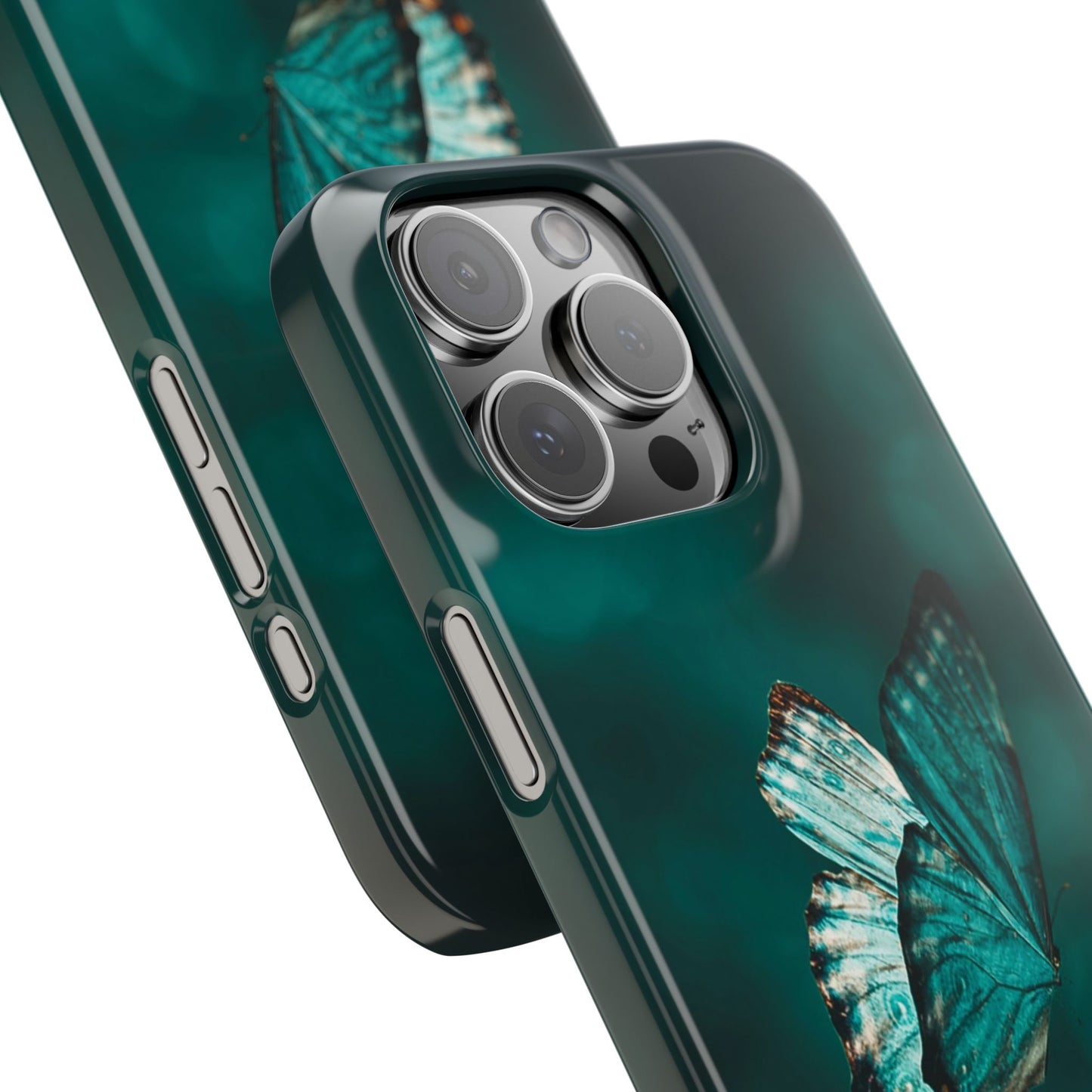 Butterfly Cajasol - Perfect for Nature Lovers
