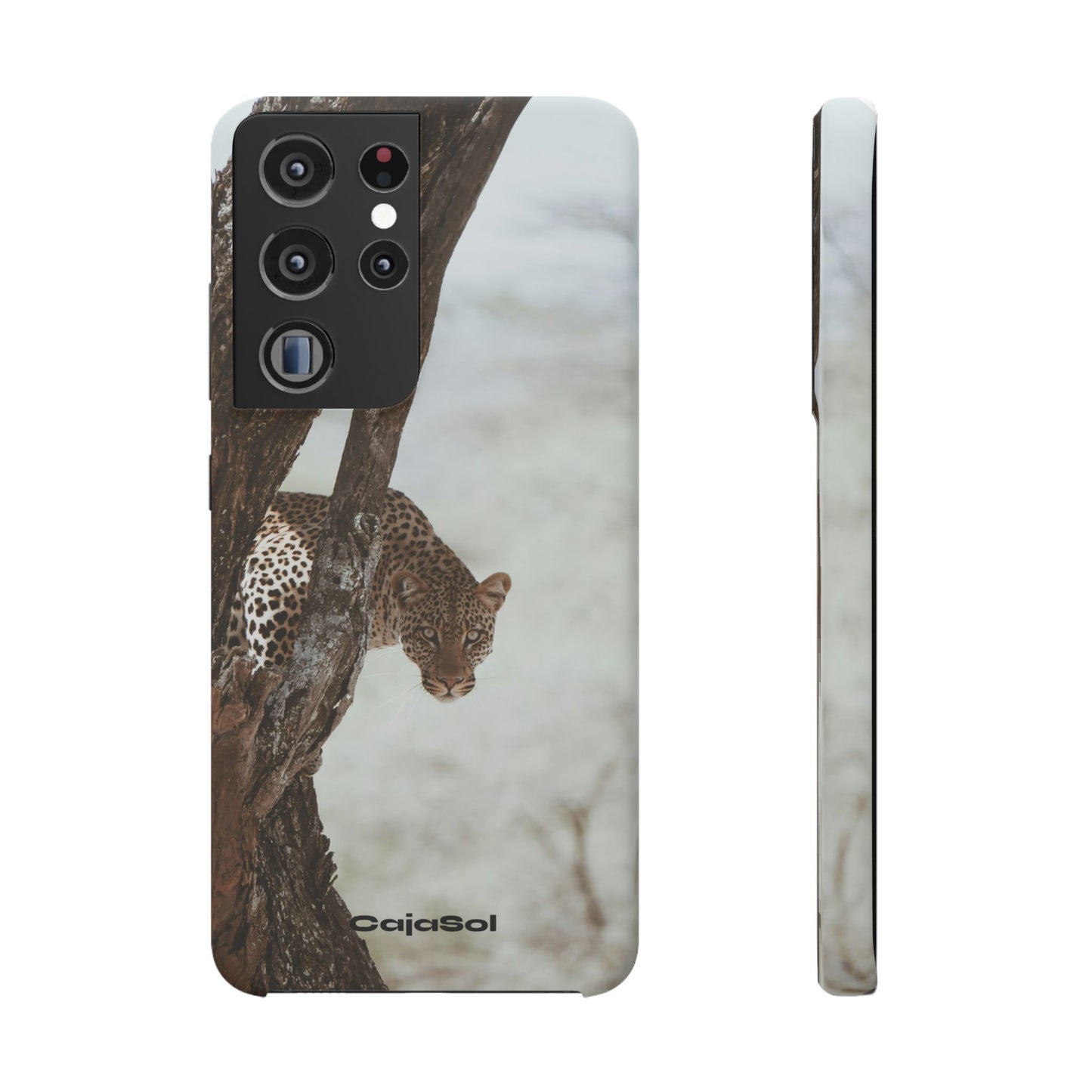 Leopard Cajasol - Wildlife Vibes