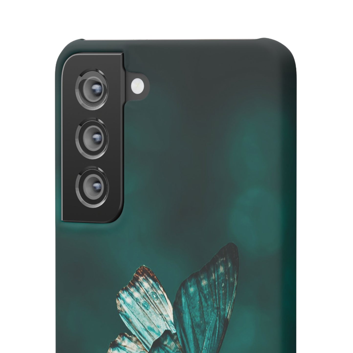 Butterfly Cajasol - Perfect for Nature Lovers
