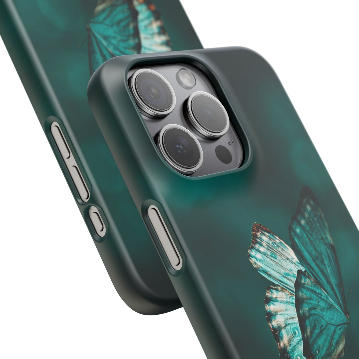 Butterfly Cajasol - Perfect for Nature Lovers