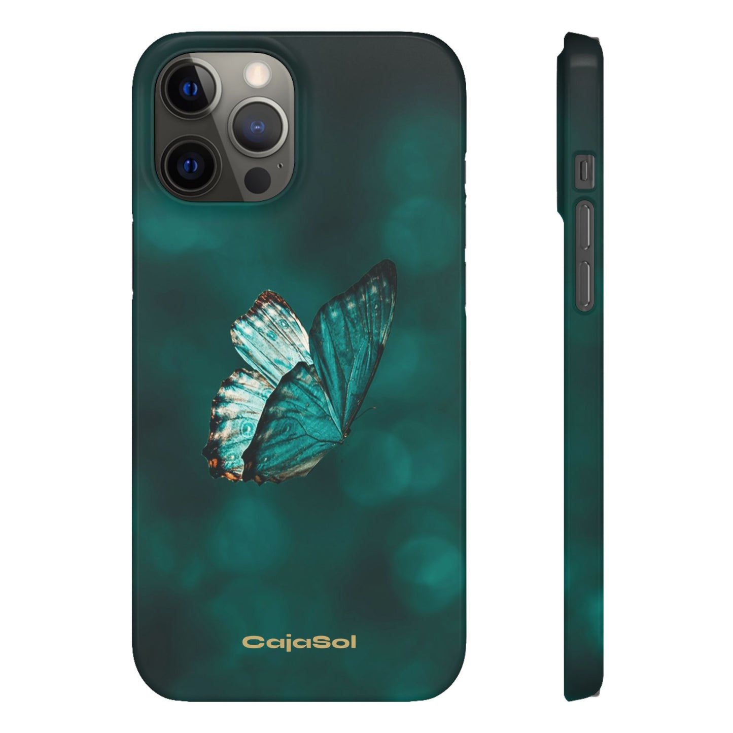 Butterfly Cajasol - Perfect for Nature Lovers