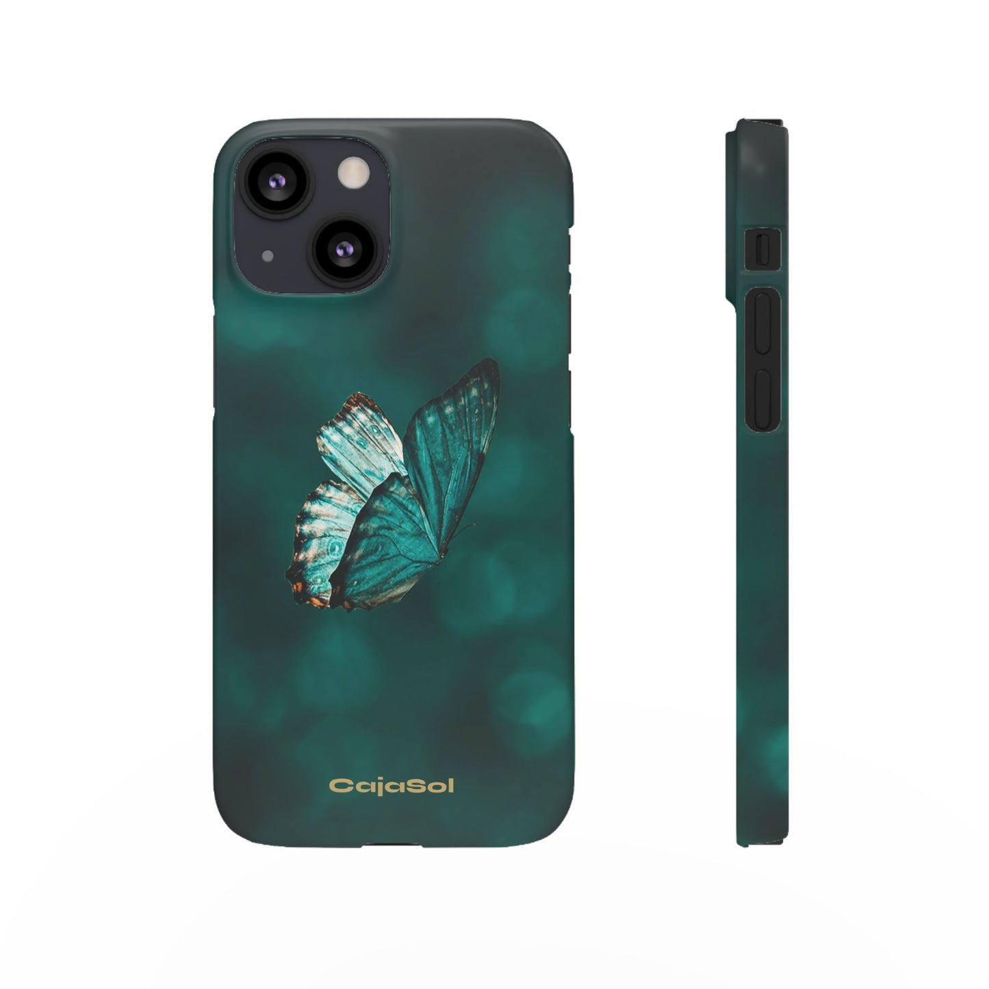 Butterfly Cajasol - Perfect for Nature Lovers