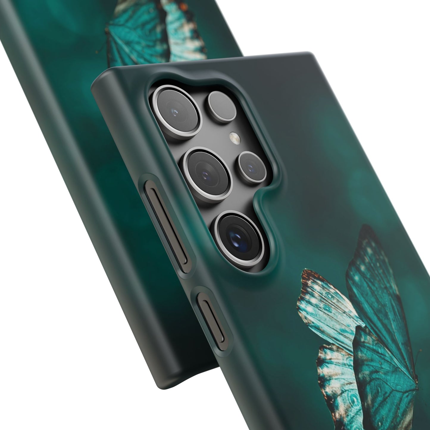Butterfly Cajasol - Perfect for Nature Lovers