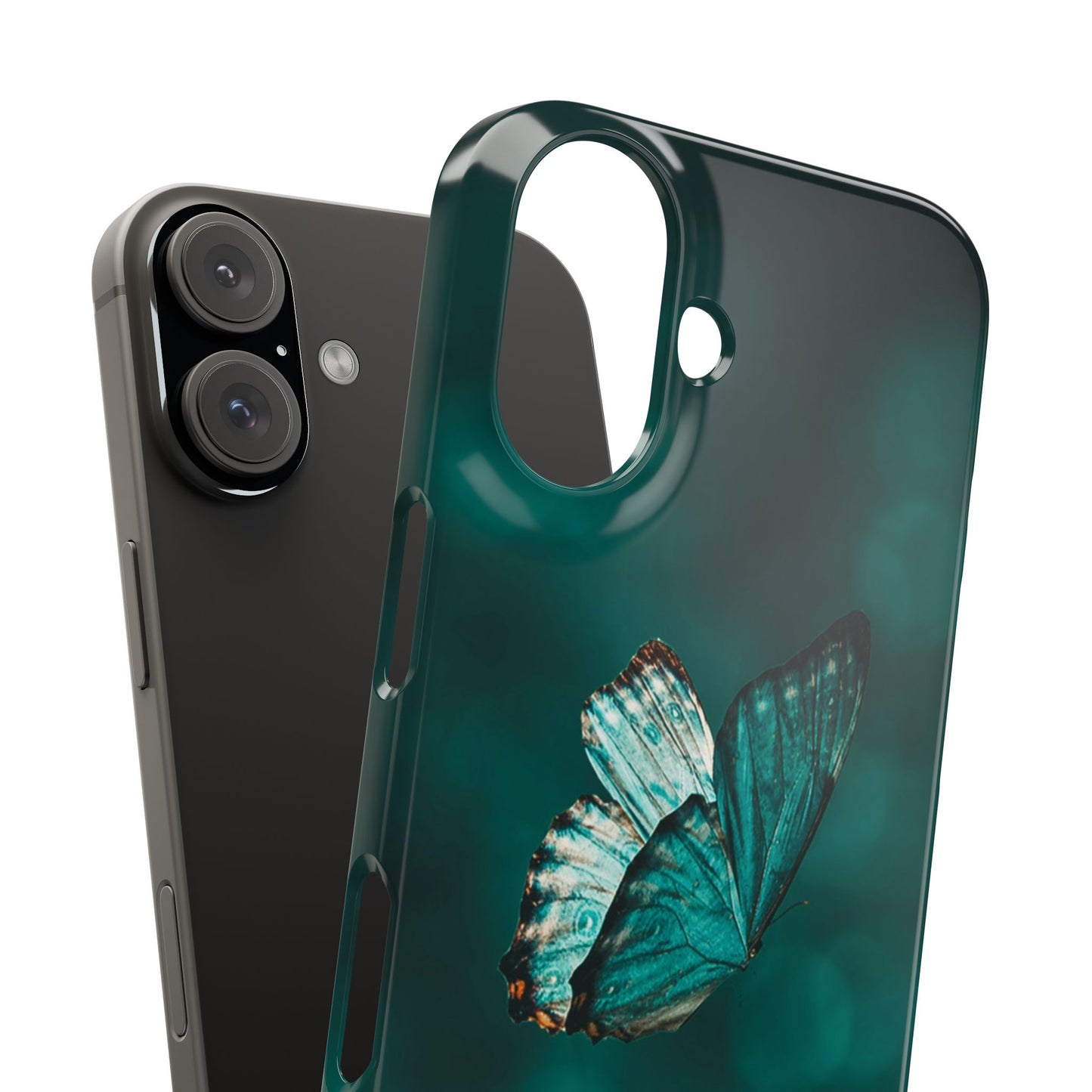 Butterfly Cajasol - Perfect for Nature Lovers