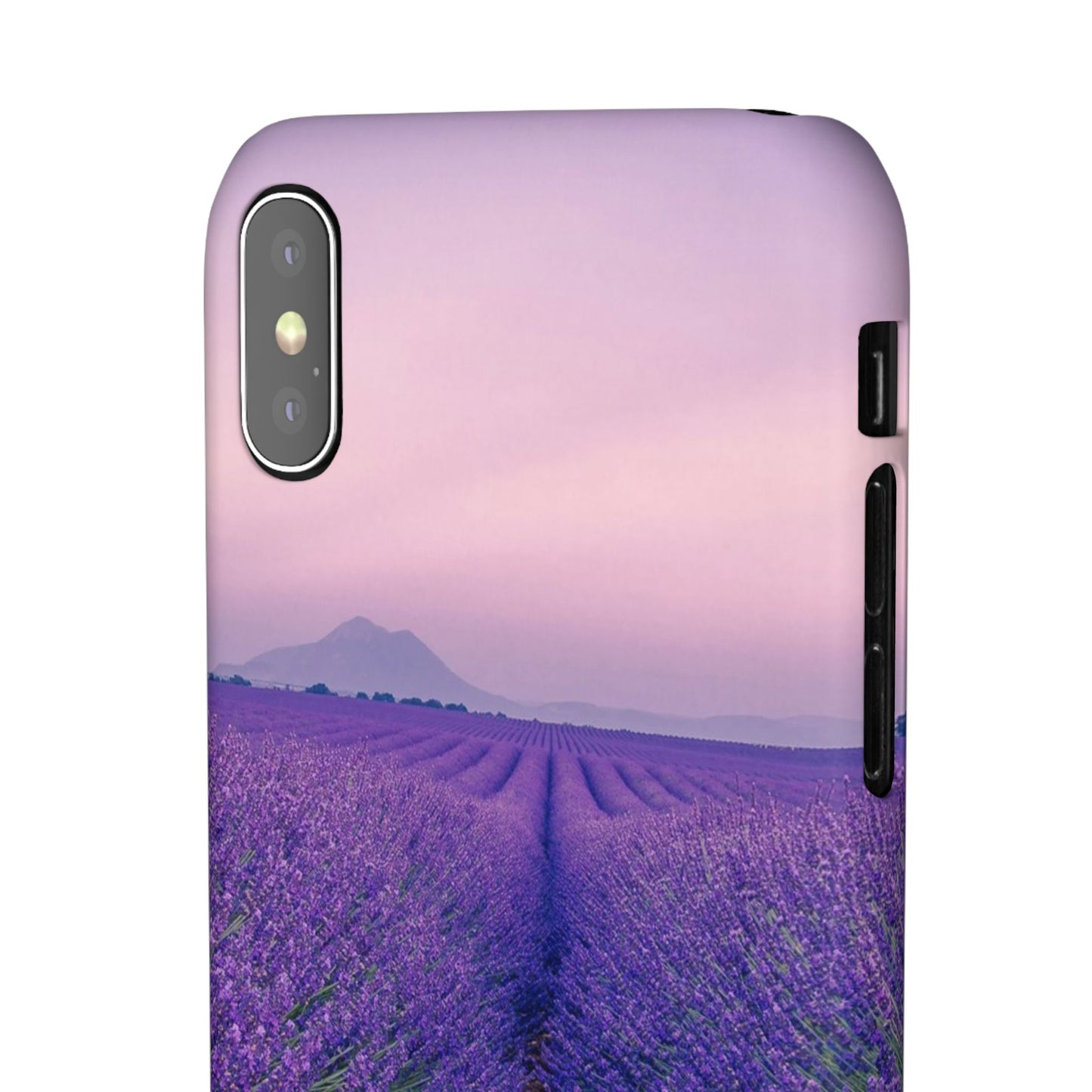 Lavender Fields Cajasol - A Floral Touch for Nature Lovers