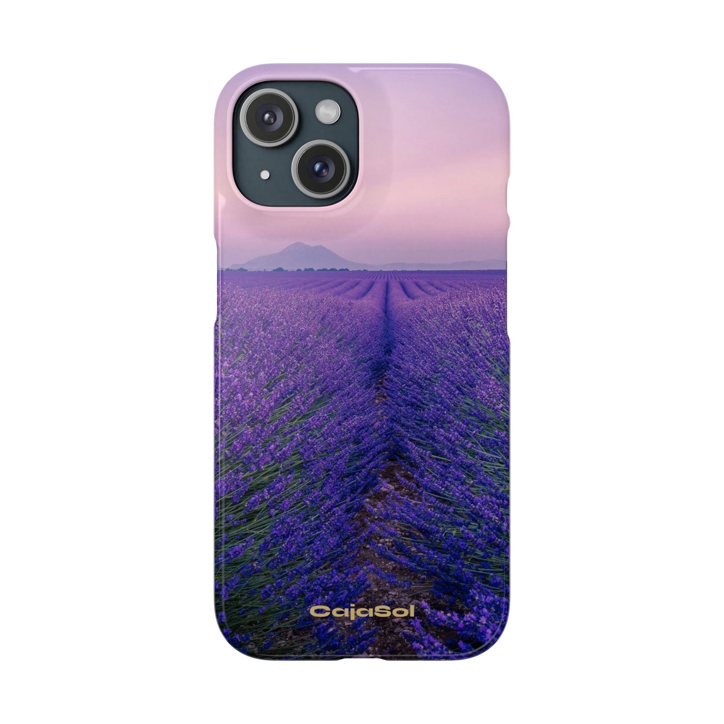 Lavender Fields Cajasol - A Floral Touch for Nature Lovers