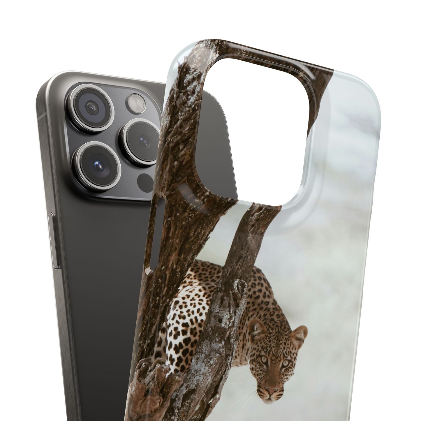 Leopard Cajasol - Wildlife Vibes