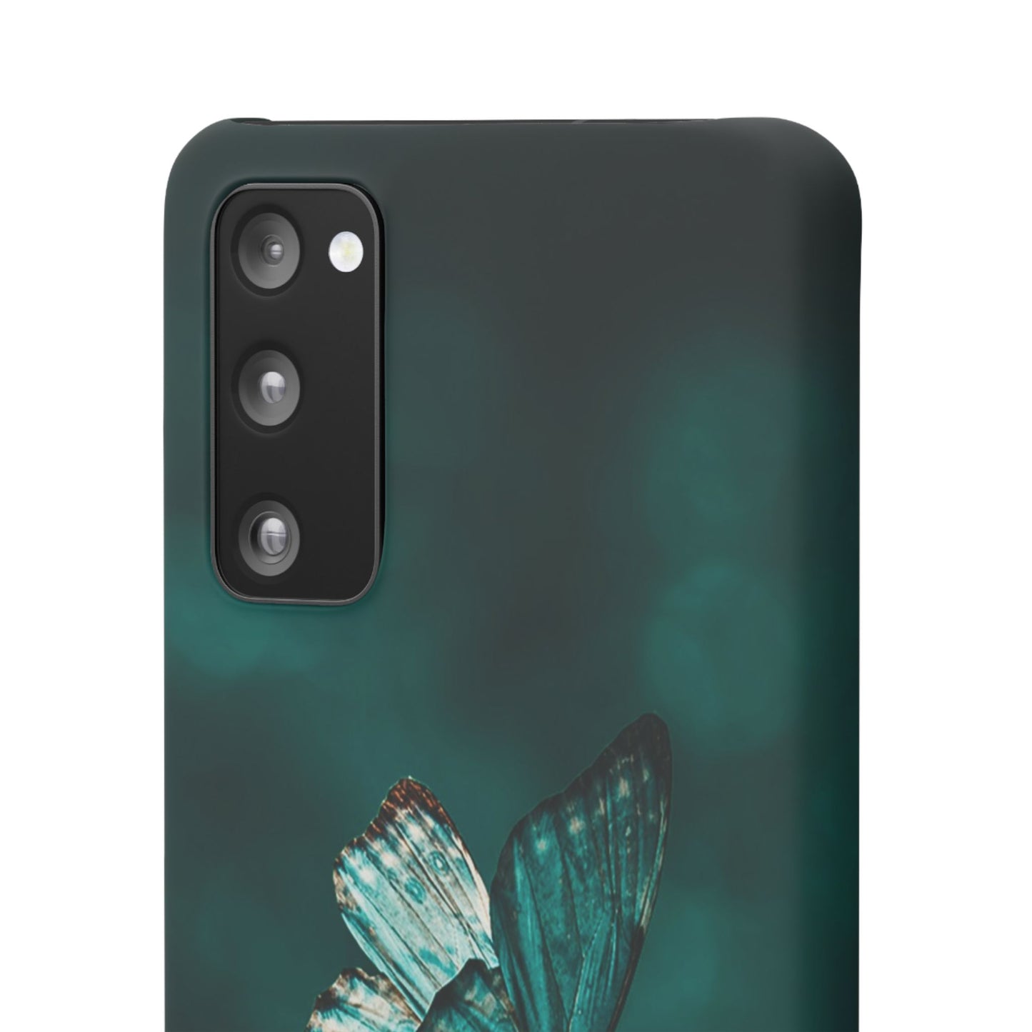 Butterfly Cajasol - Perfect for Nature Lovers