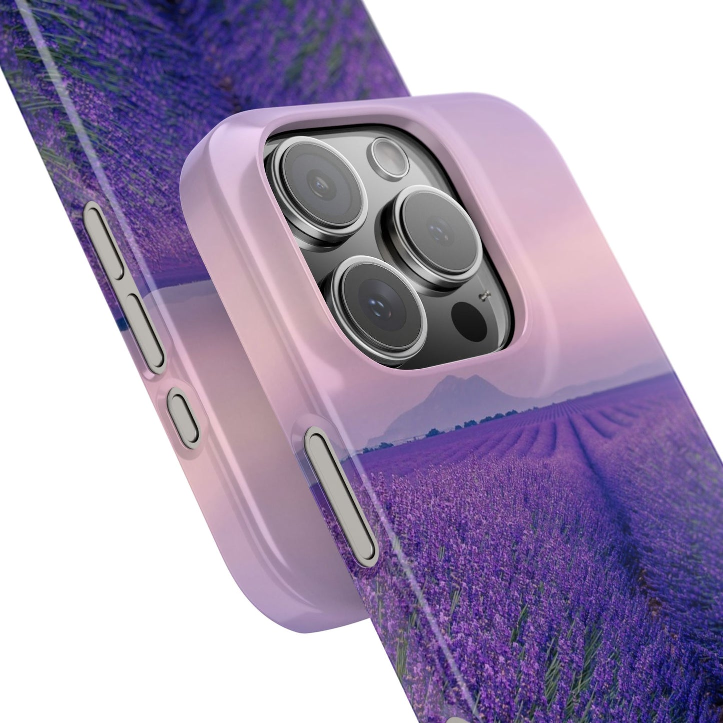 Lavender Fields Cajasol - A Floral Touch for Nature Lovers