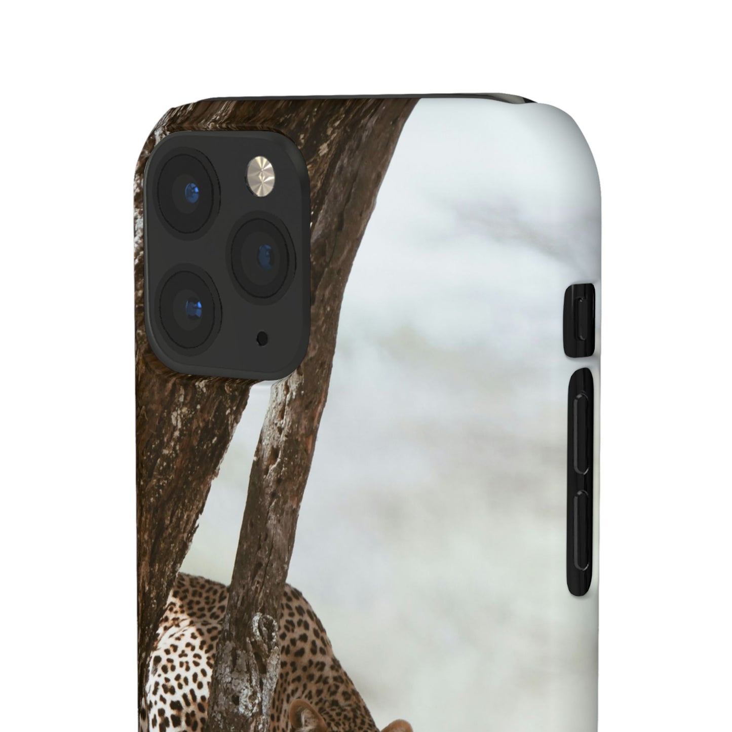 Leopard Cajasol - Wildlife Vibes