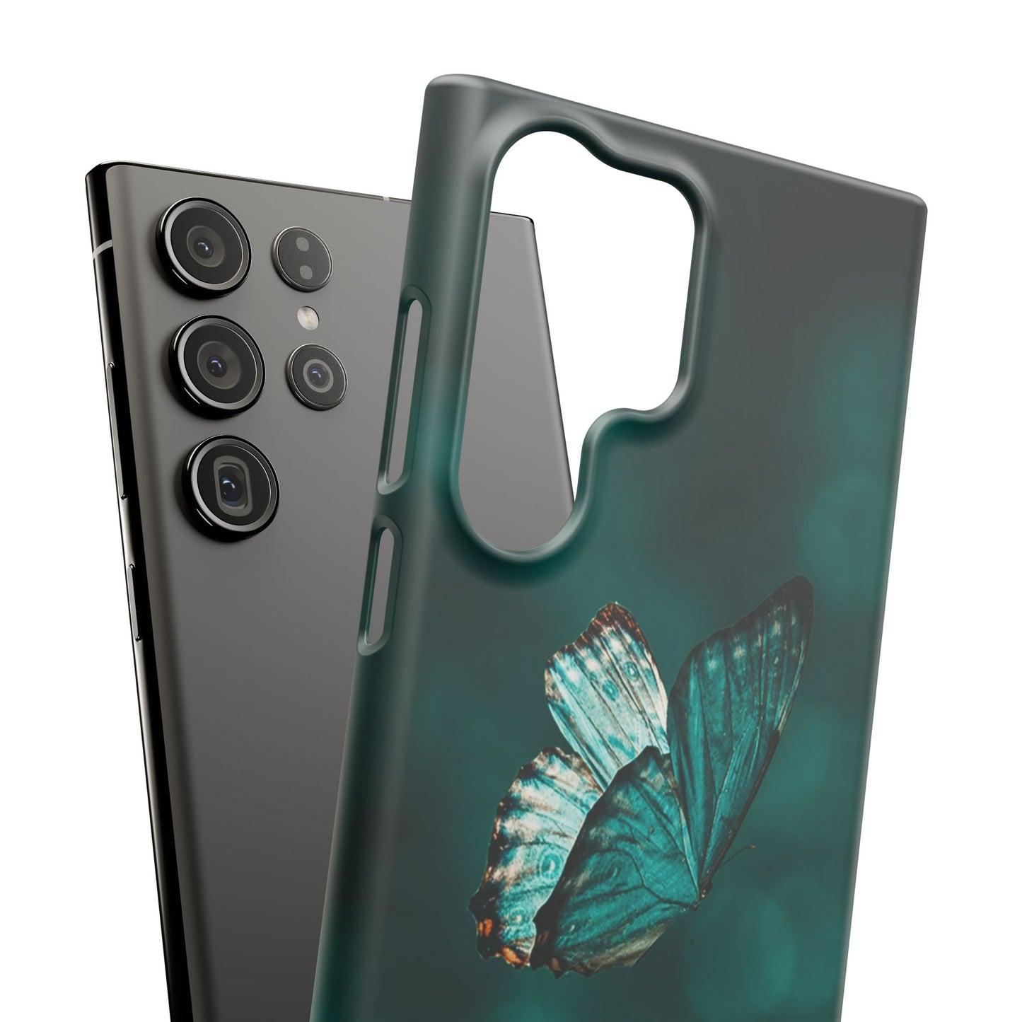 Butterfly Cajasol - Perfect for Nature Lovers