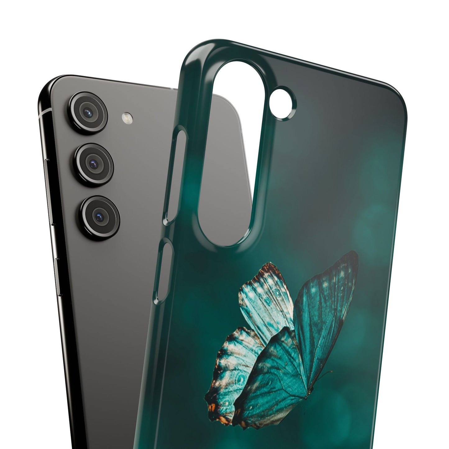 Butterfly Cajasol - Perfect for Nature Lovers