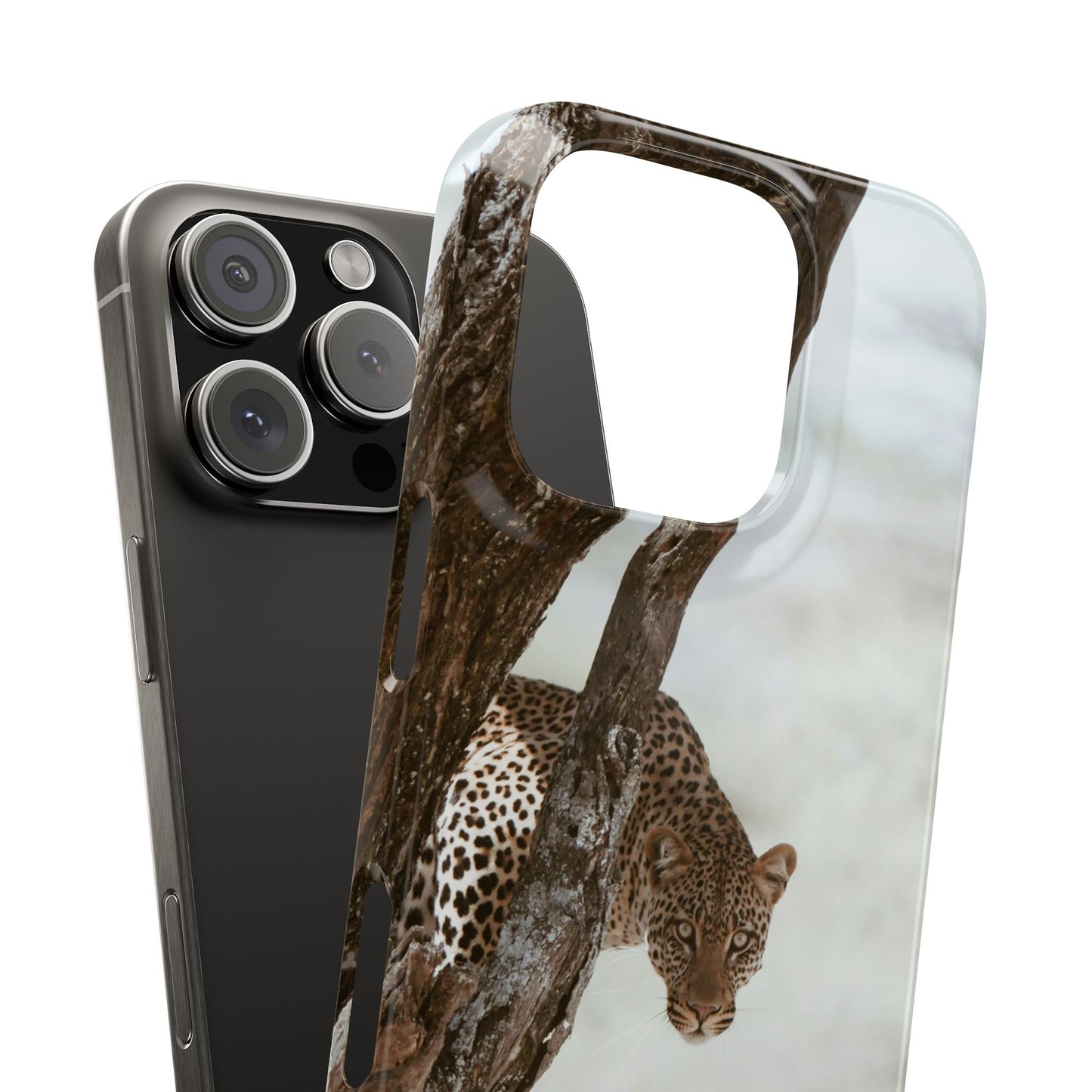 Leopard Cajasol - Wildlife Vibes