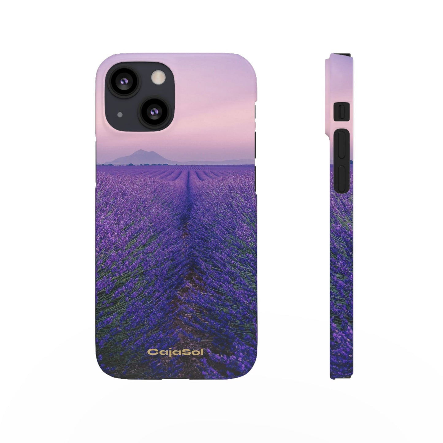 Lavender Fields Cajasol - A Floral Touch for Nature Lovers