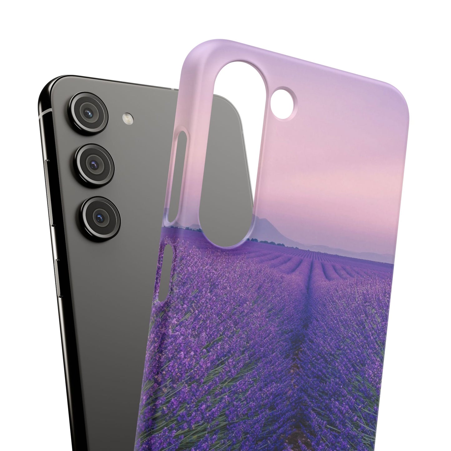 Lavender Fields Cajasol - A Floral Touch for Nature Lovers