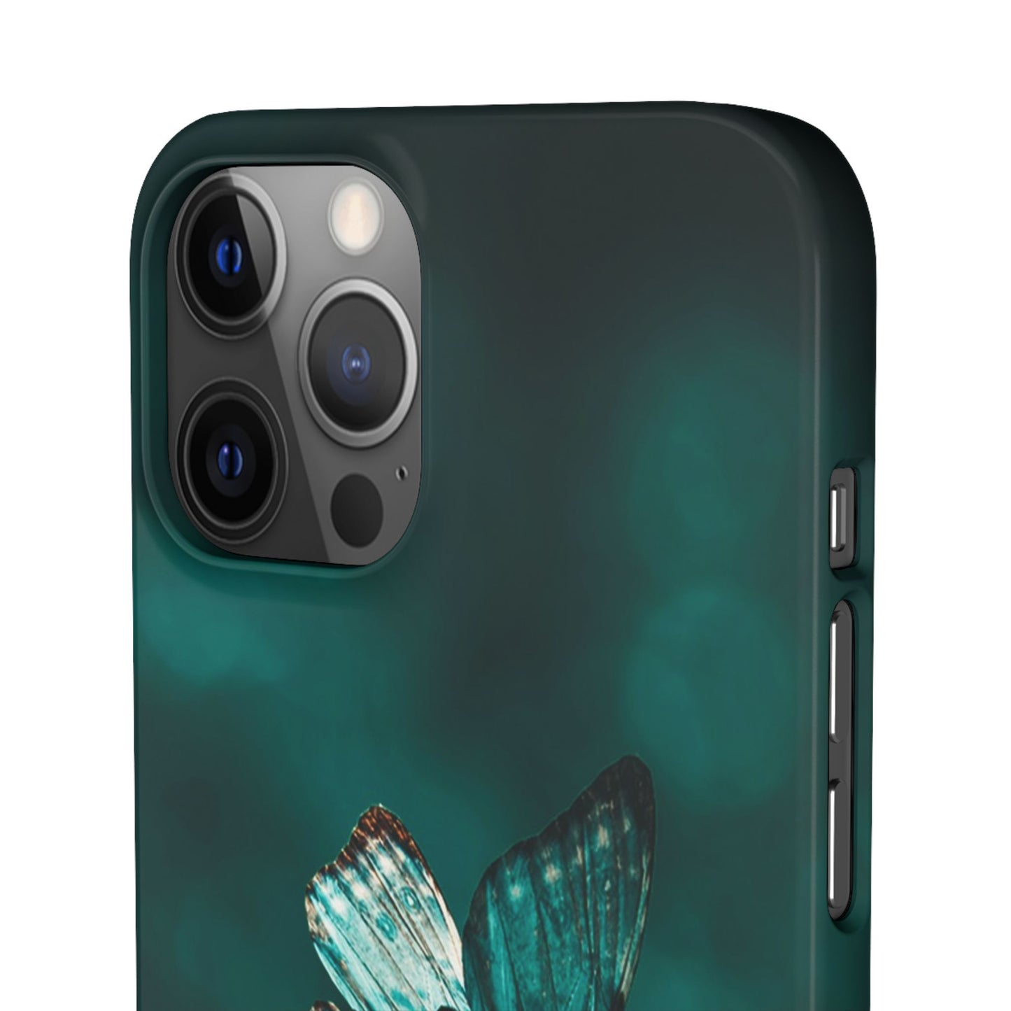 Butterfly Cajasol - Perfect for Nature Lovers