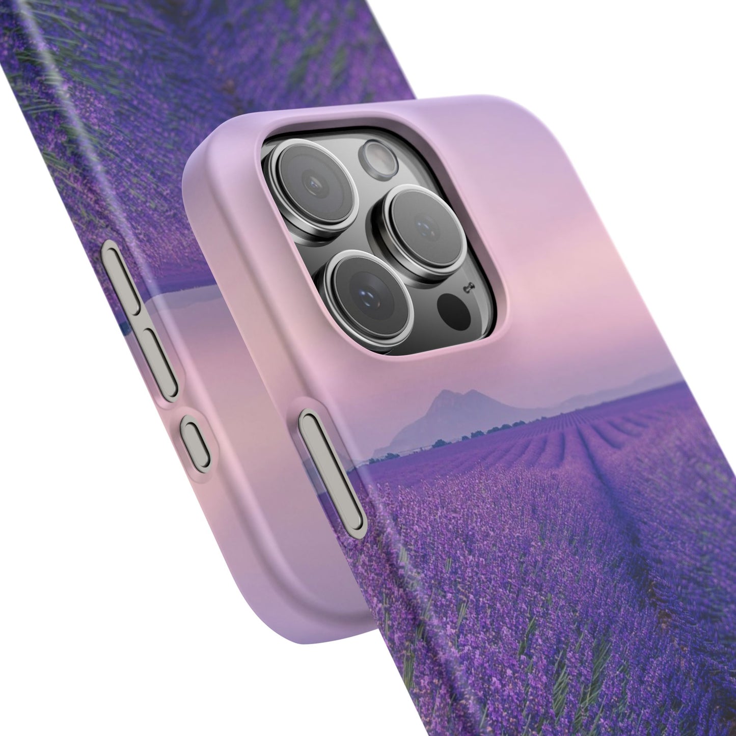 Lavender Fields Cajasol - A Floral Touch for Nature Lovers